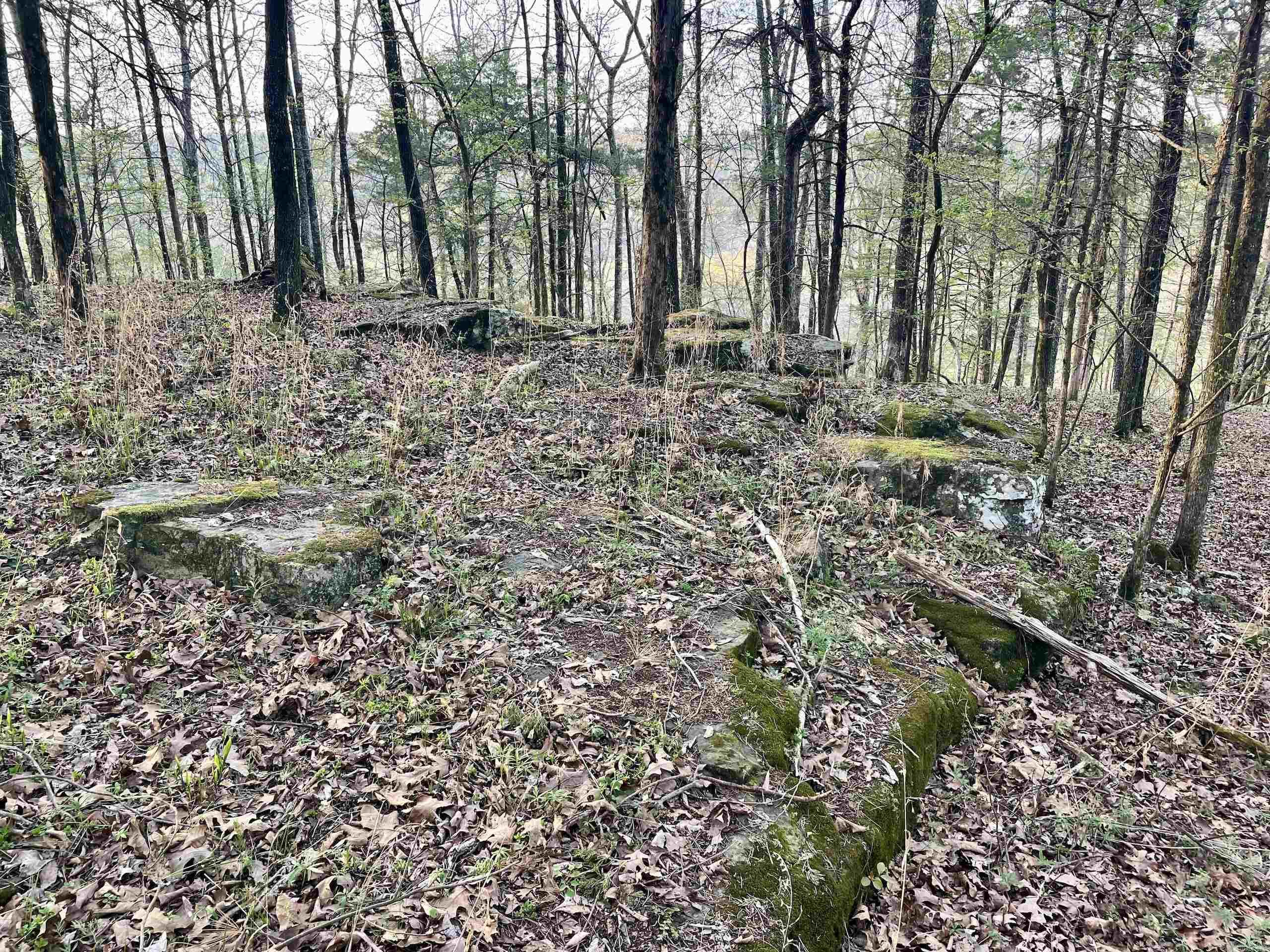 000 Trout Way  Judsonia, AR