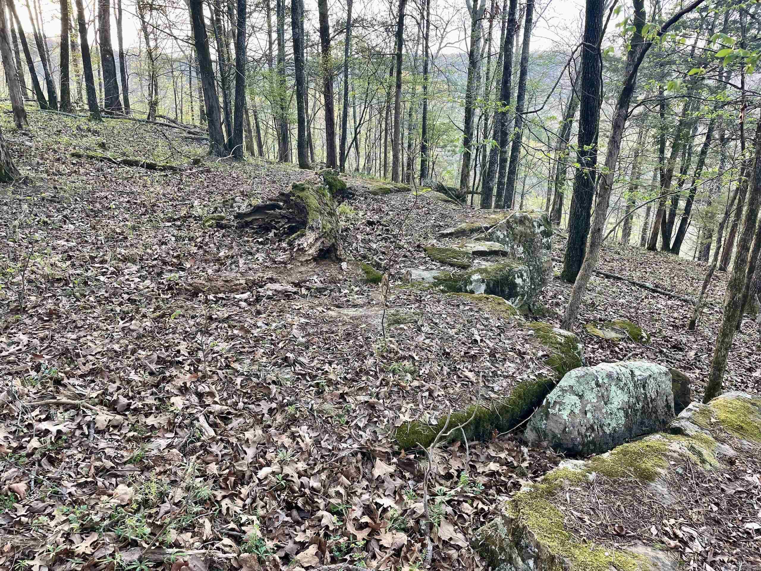 000 Trout Way  Judsonia, AR