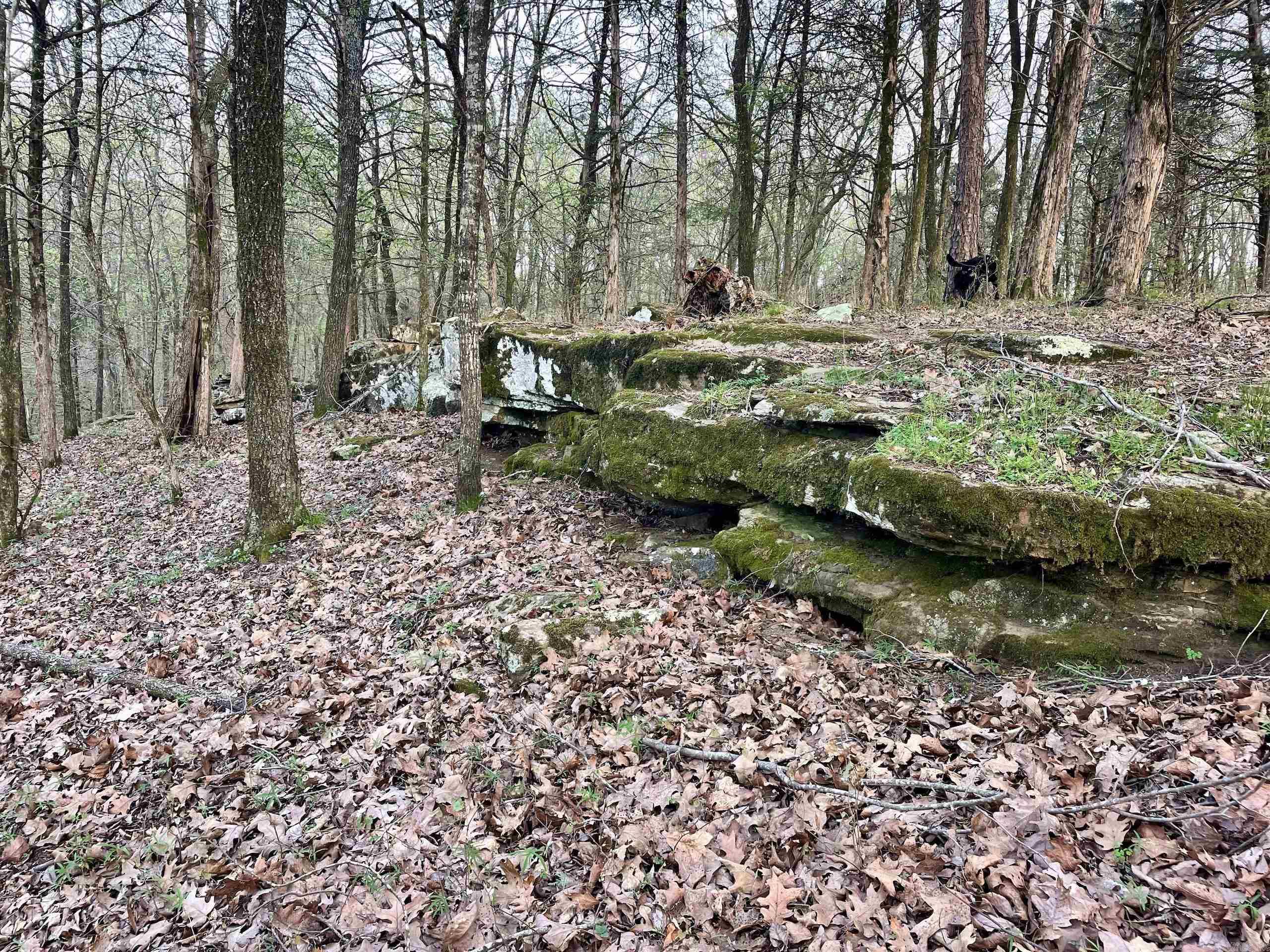 000 Trout Way  Judsonia, AR