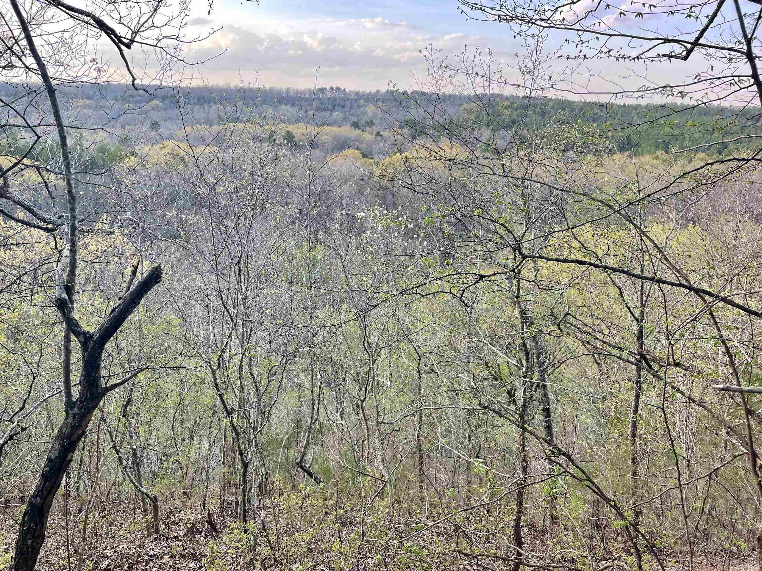 000 Trout Way  Judsonia, AR