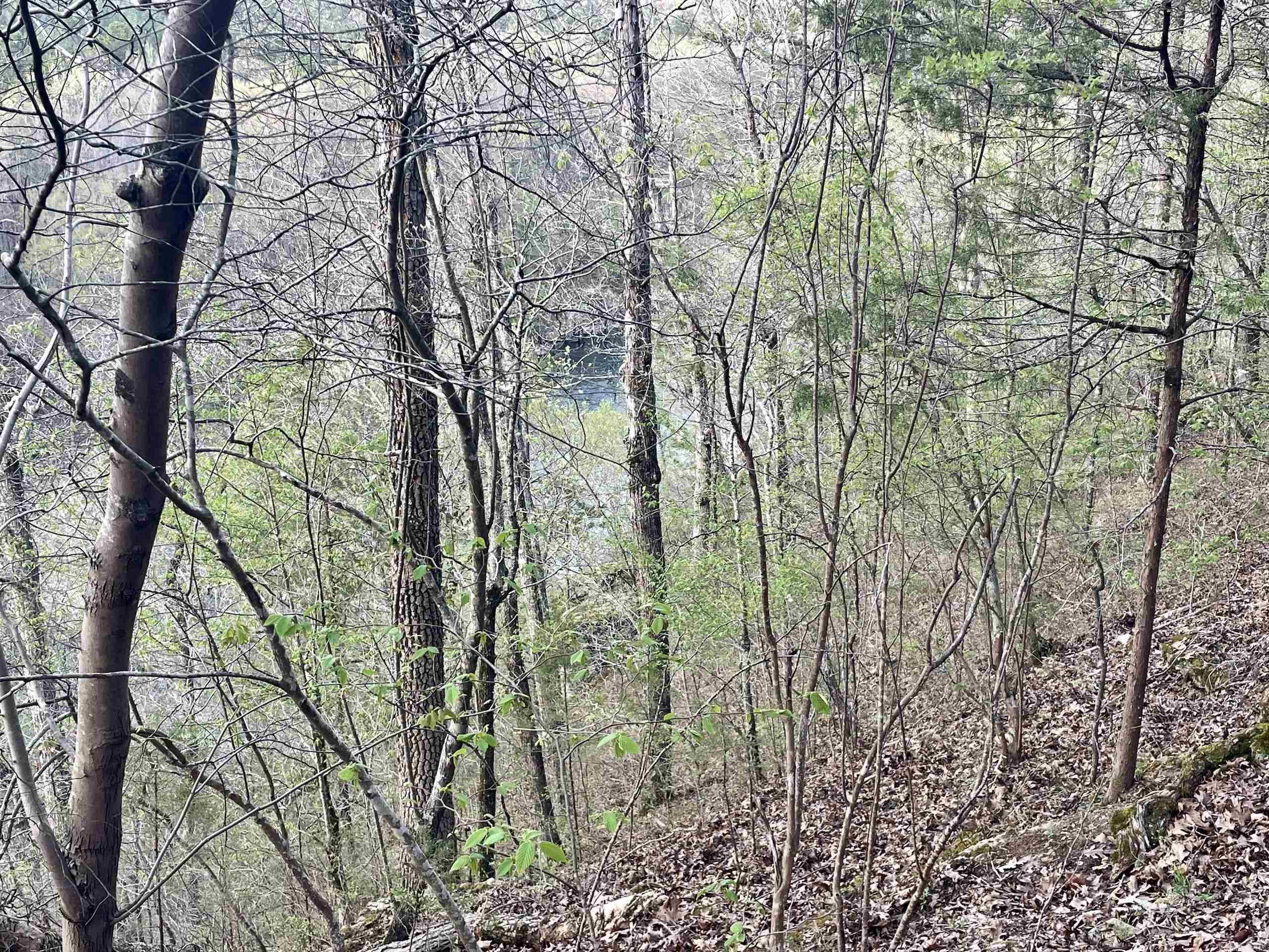 000 Trout Way  Judsonia, AR