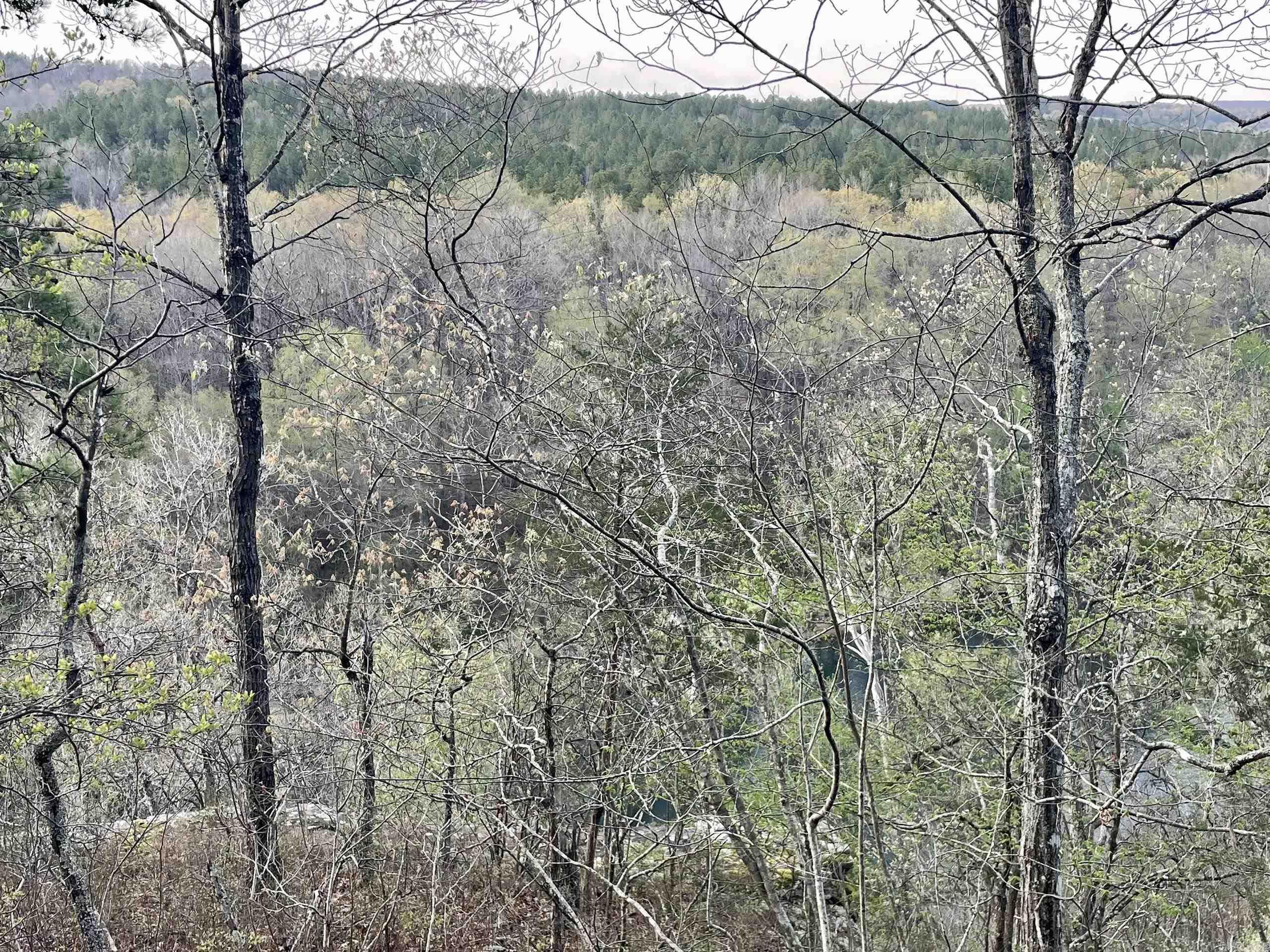 000 Trout Way  Judsonia, AR