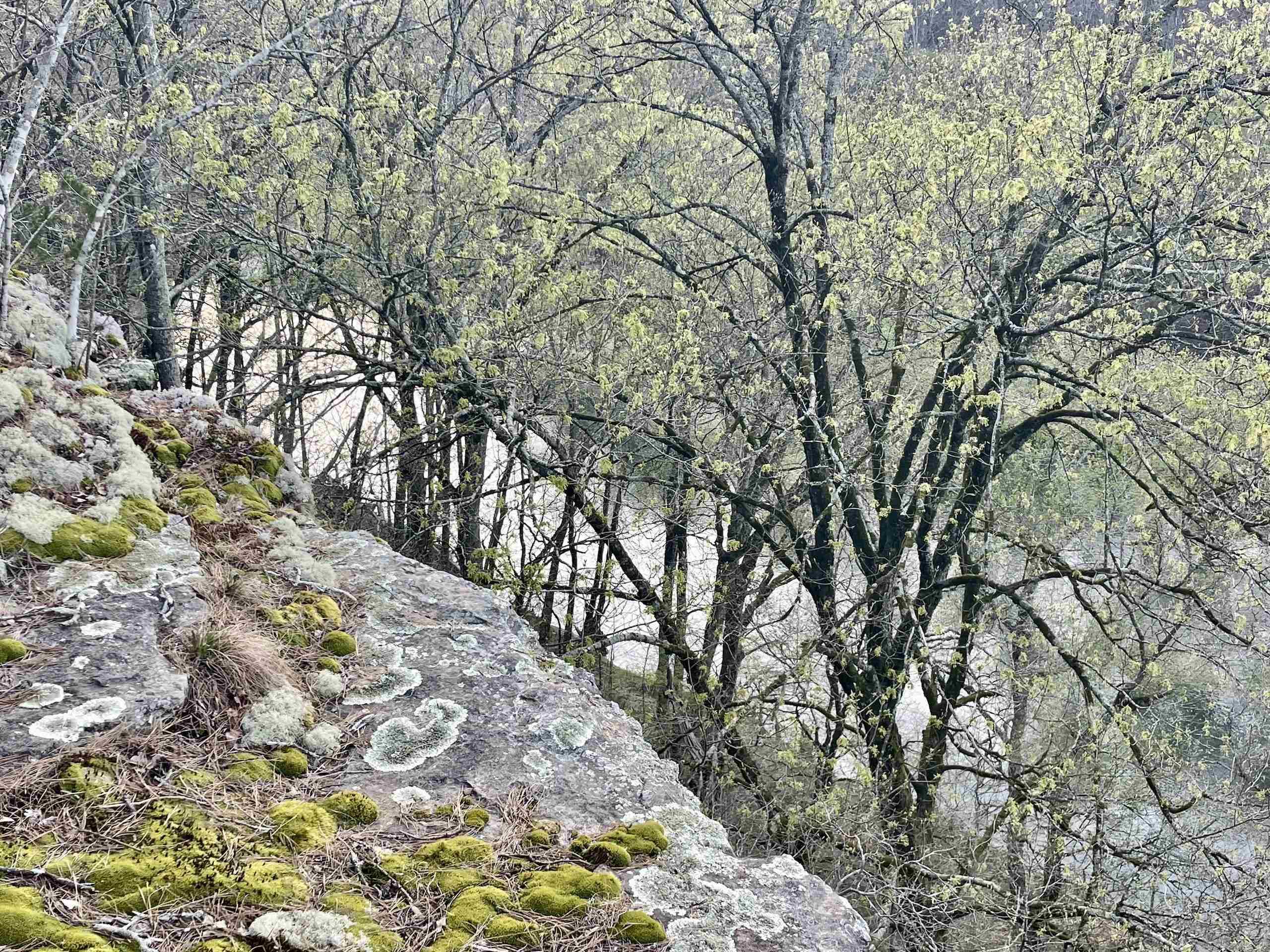 000 Trout Way  Judsonia, AR