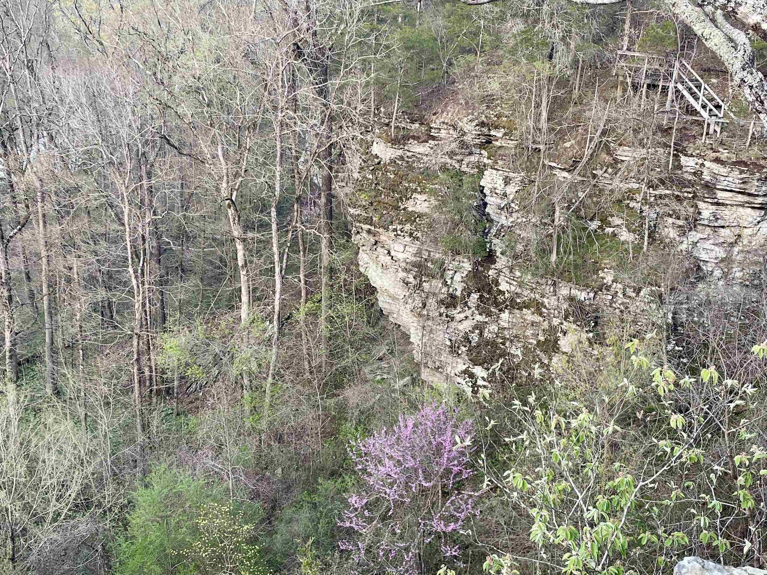 000 Trout Way  Judsonia, AR