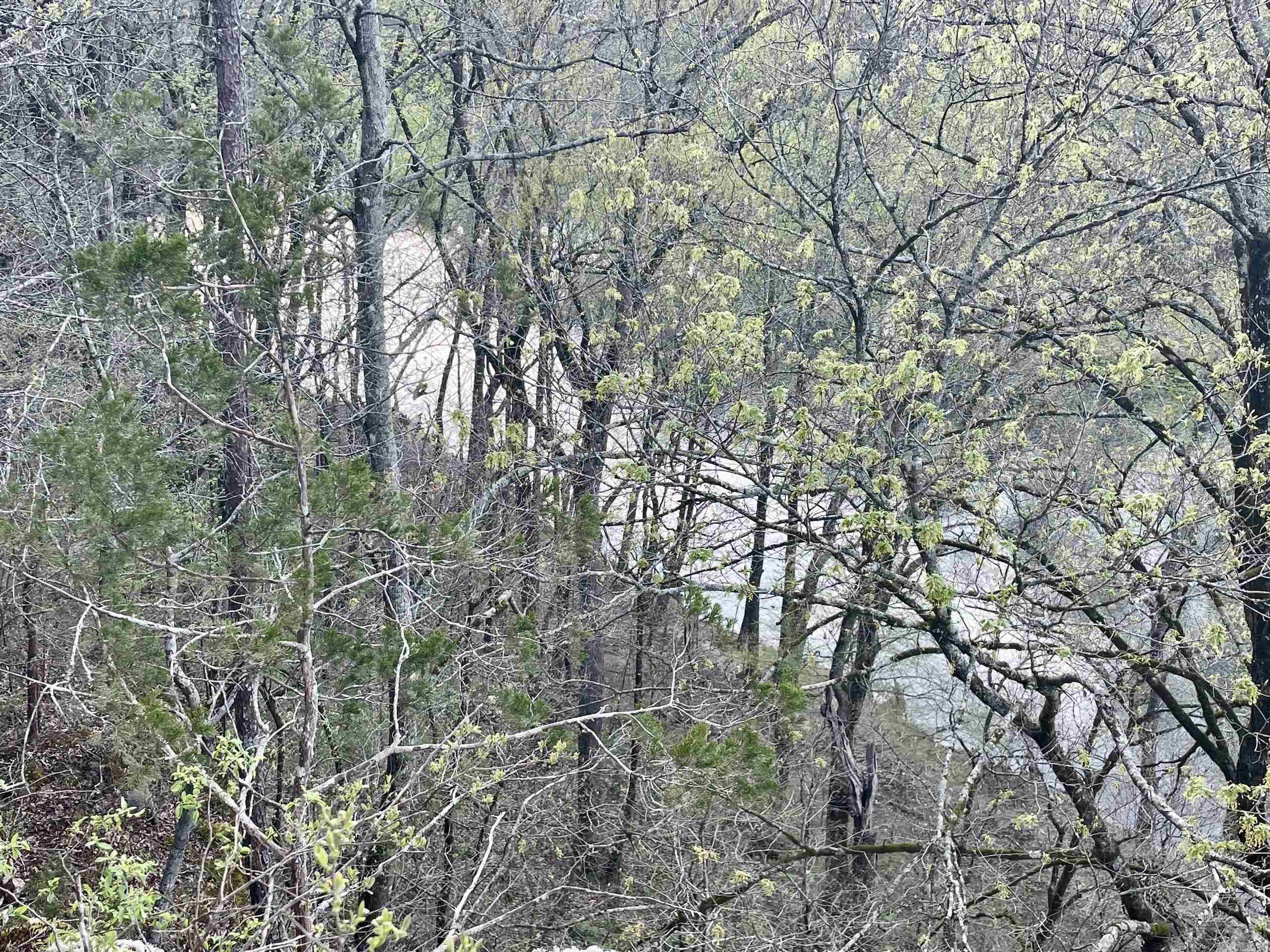 000 Trout Way  Judsonia, AR