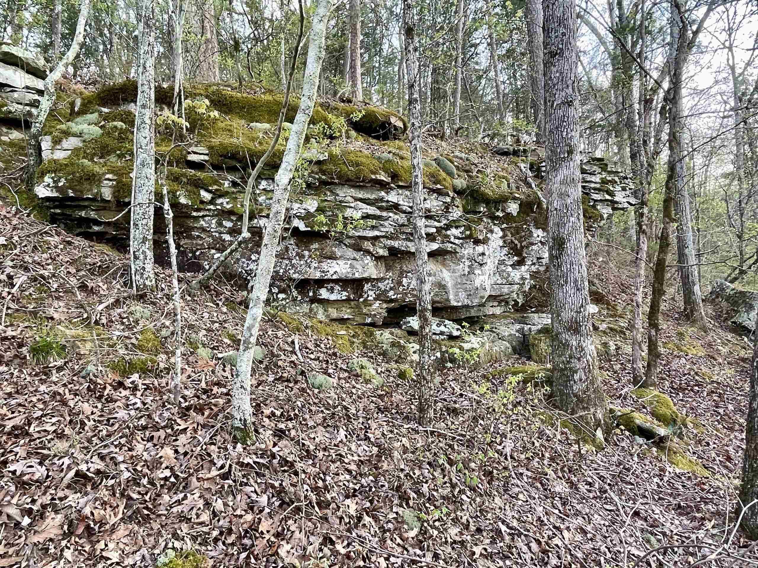 000 Trout Way  Judsonia, AR