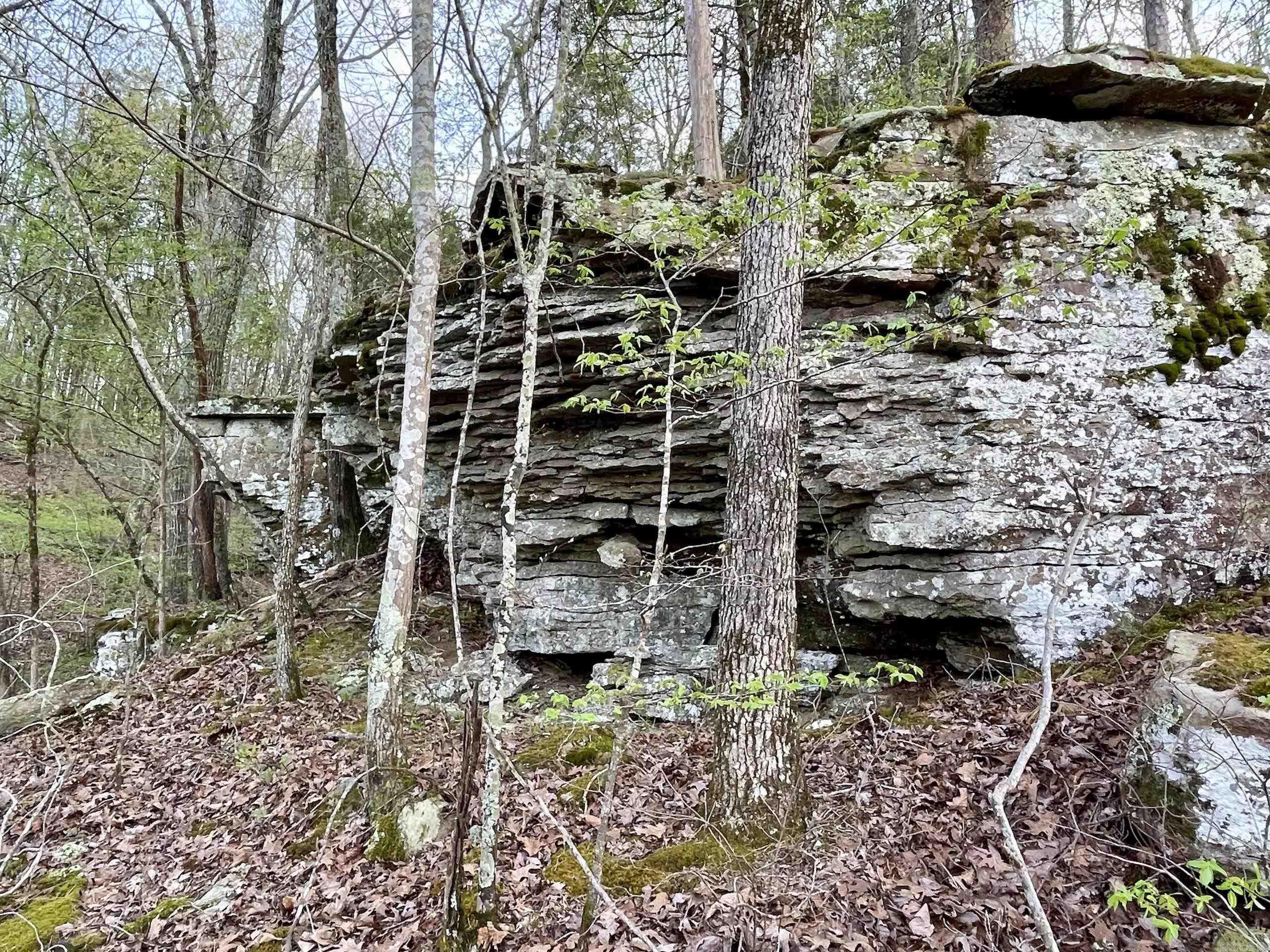 000 Trout Way  Judsonia, AR