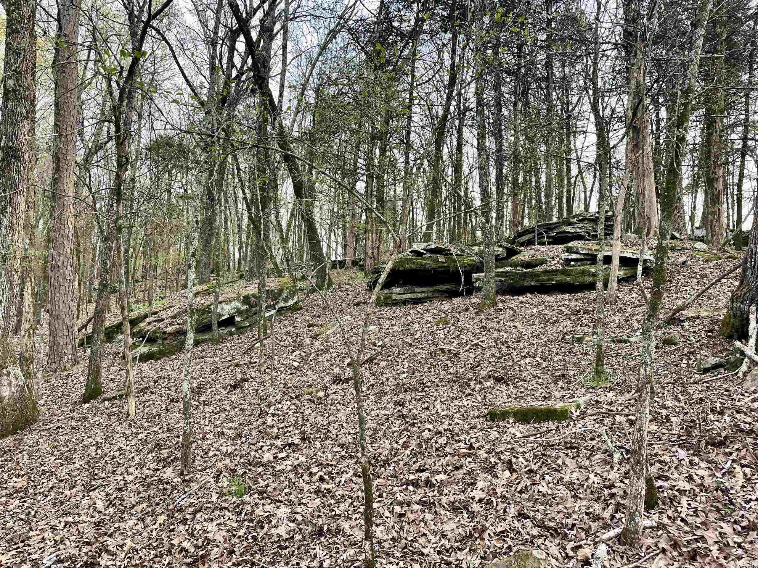 000 Trout Way  Judsonia, AR