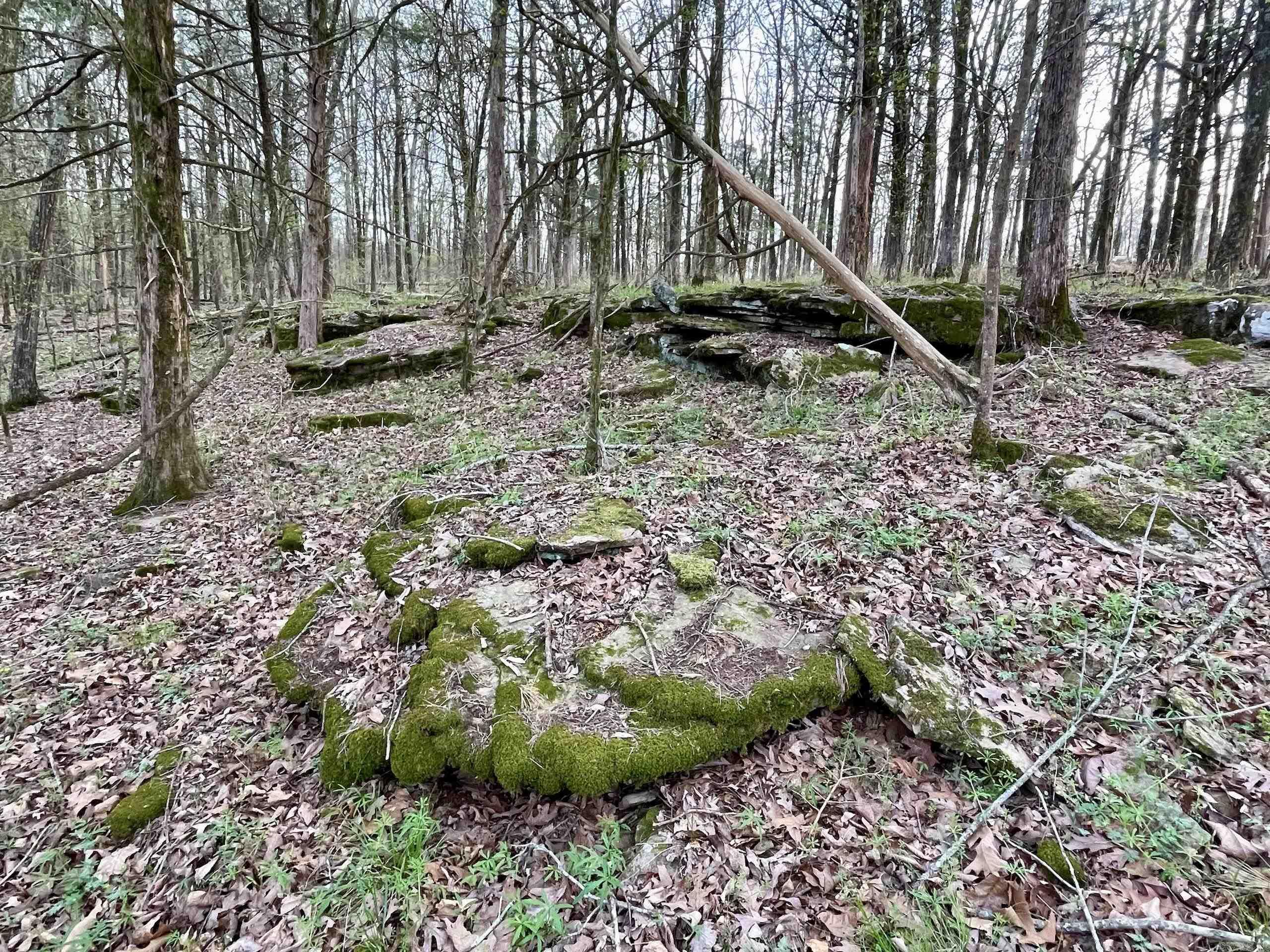 000 Trout Way  Judsonia, AR