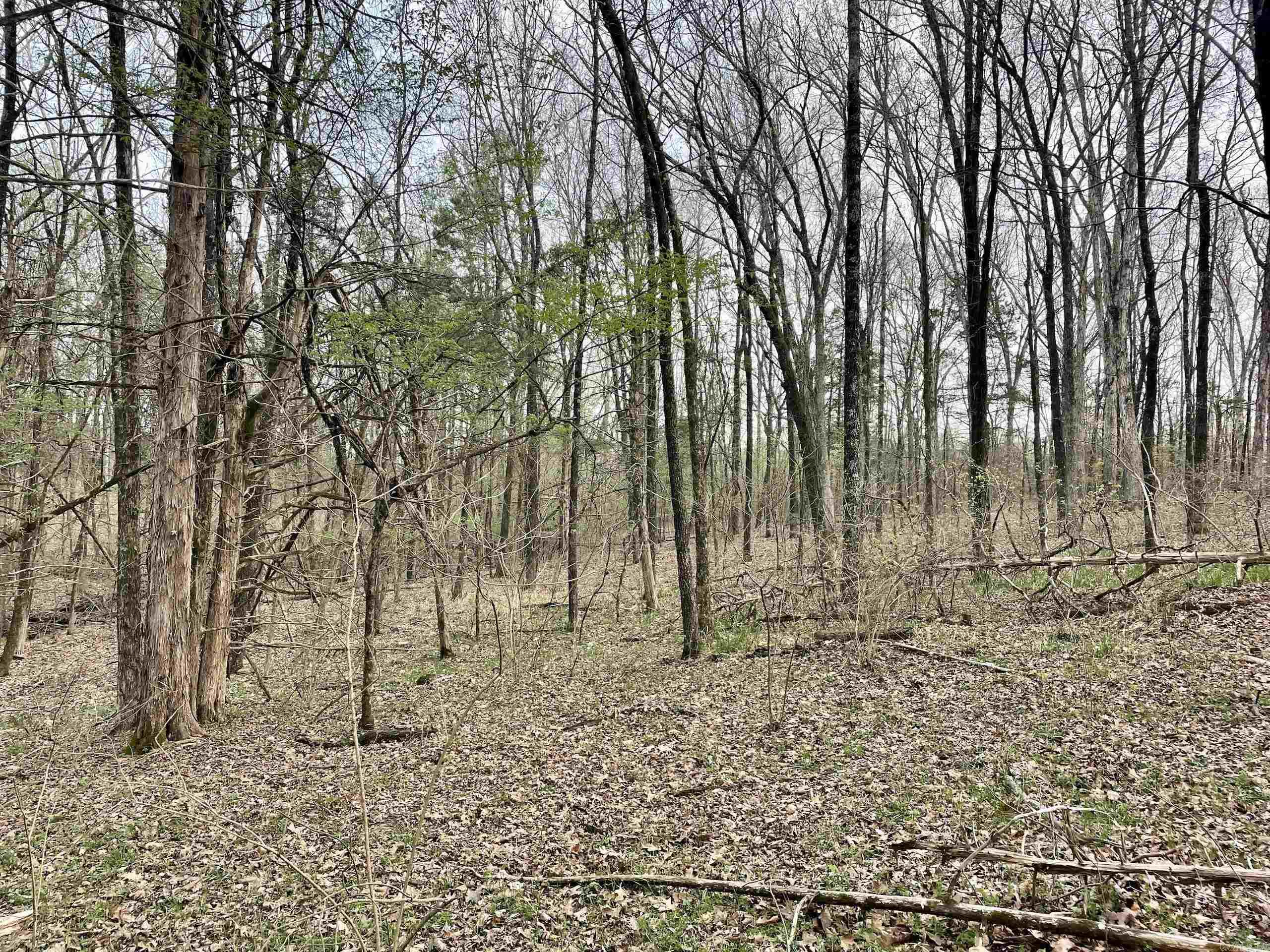 000 Trout Way  Judsonia, AR