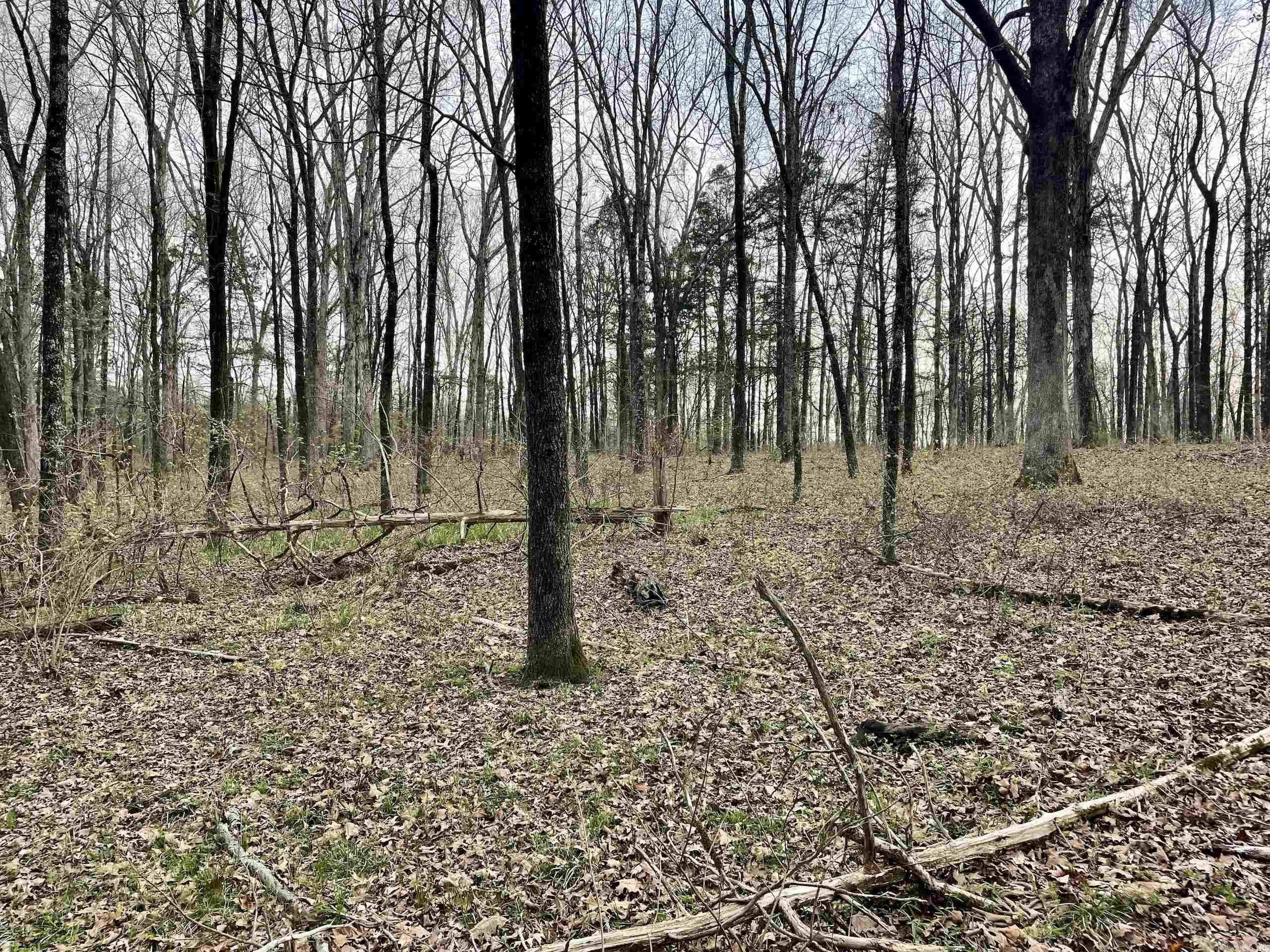 000 Trout Way  Judsonia, AR