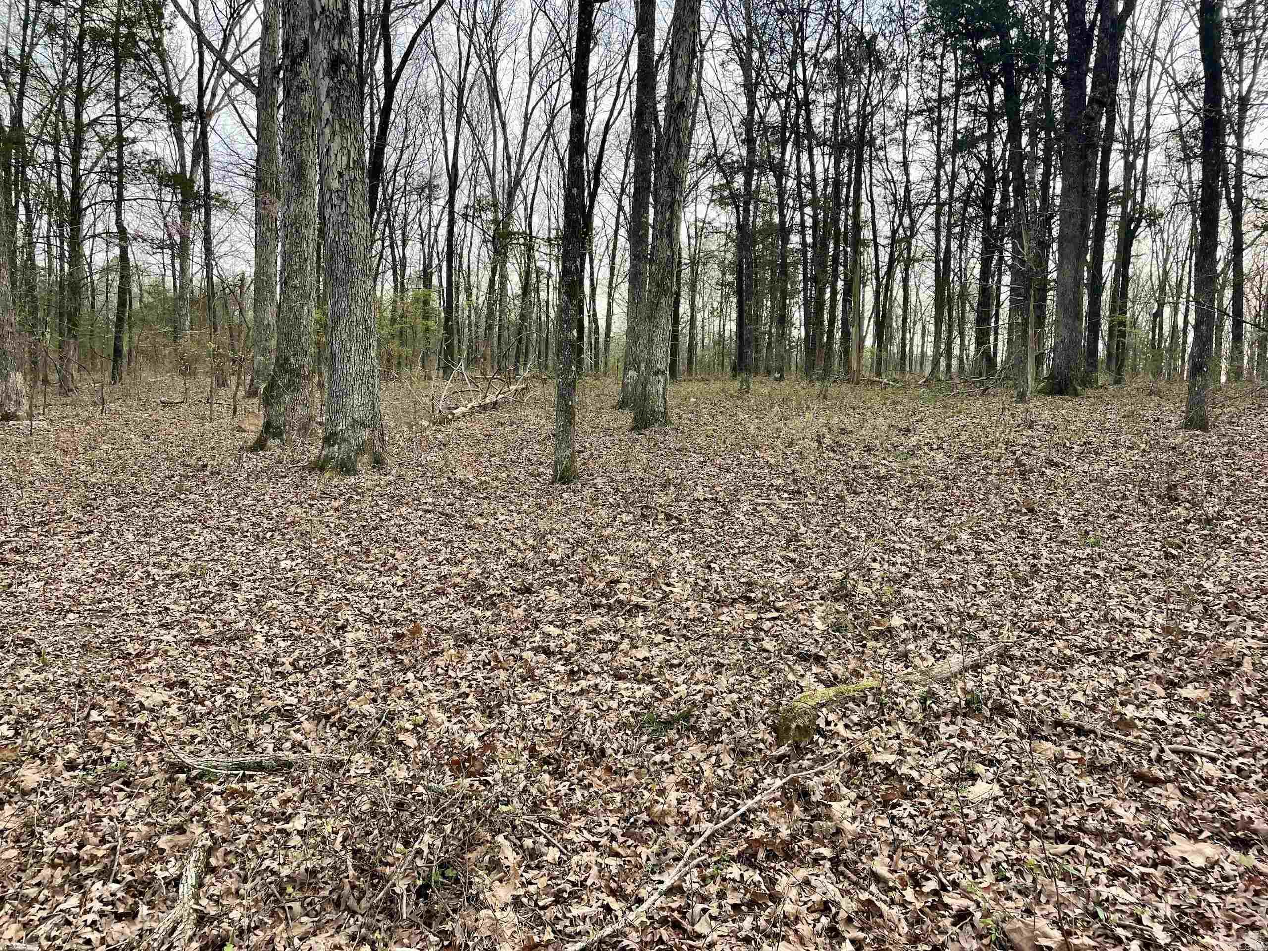 000 Trout Way  Judsonia, AR