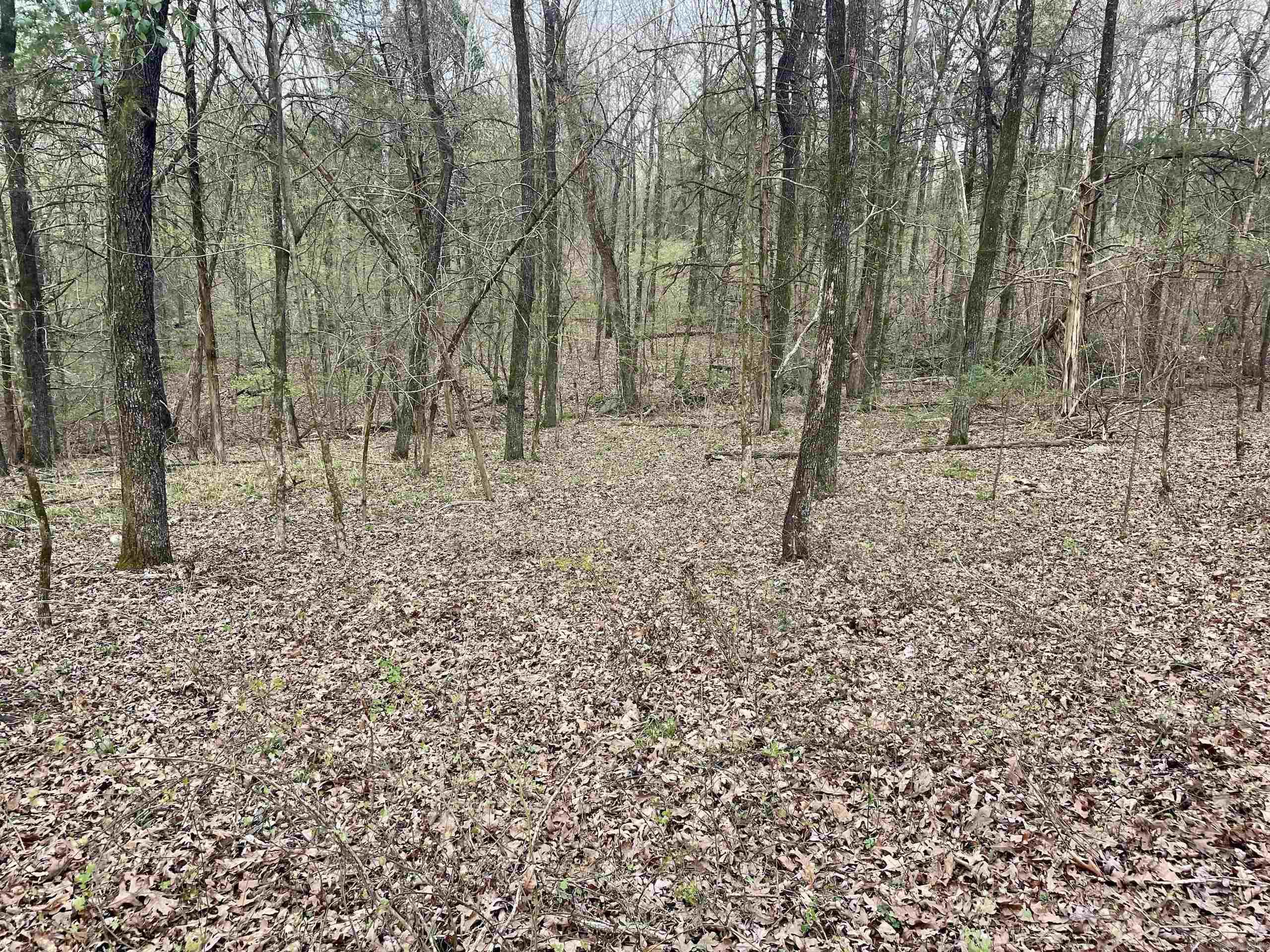 000 Trout Way  Judsonia, AR