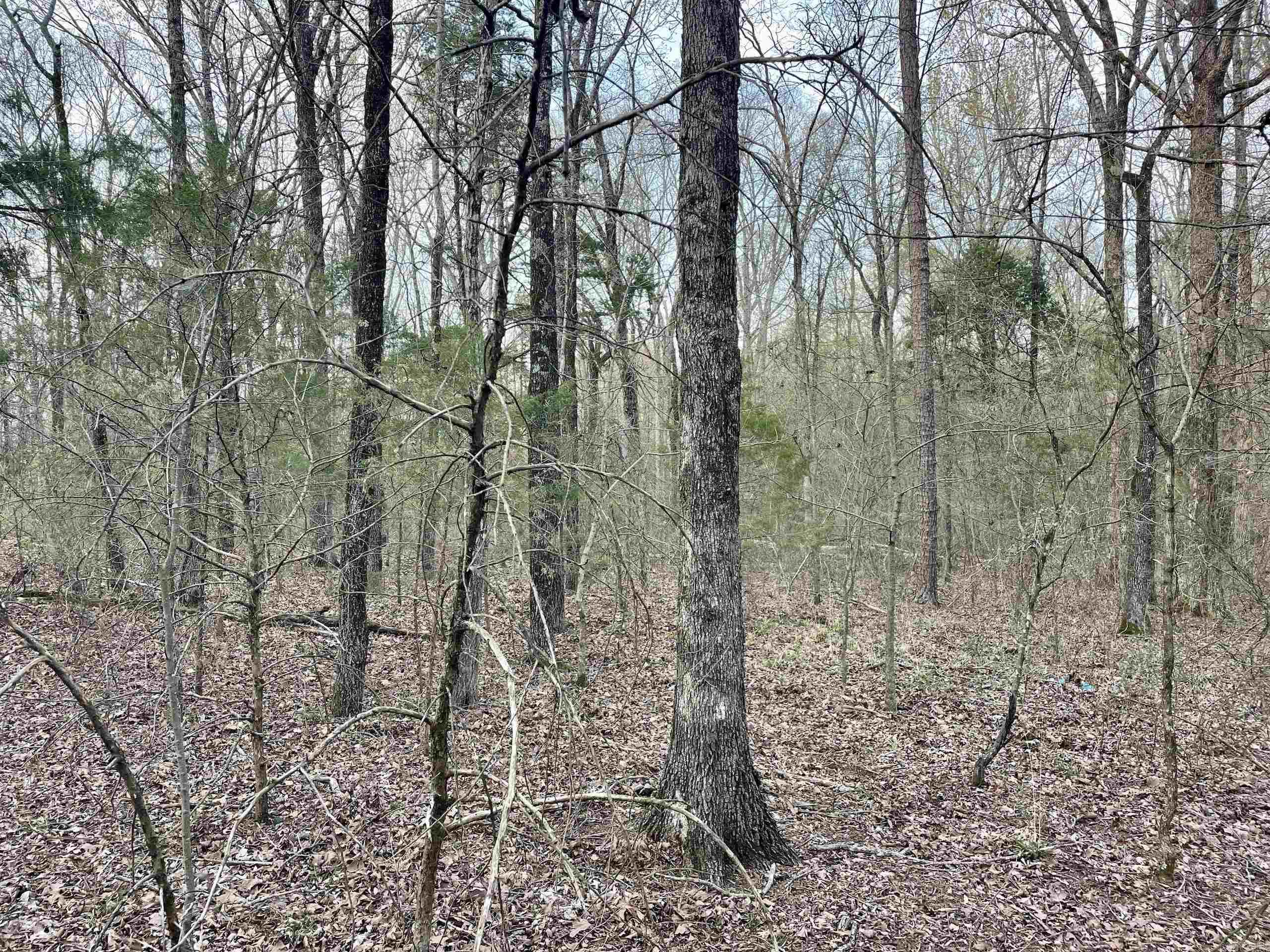 000 Trout Way  Judsonia, AR