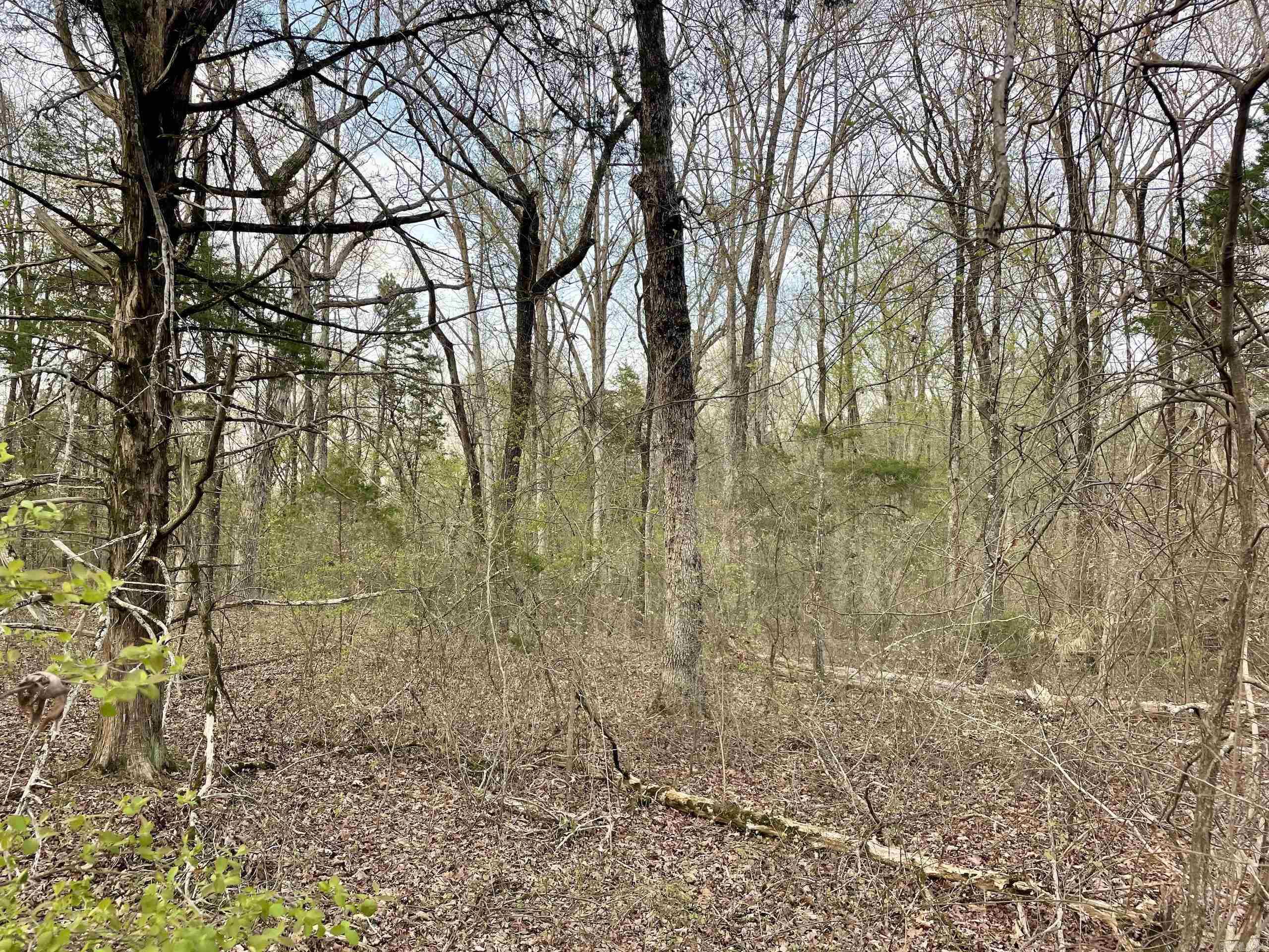 000 Trout Way  Judsonia, AR