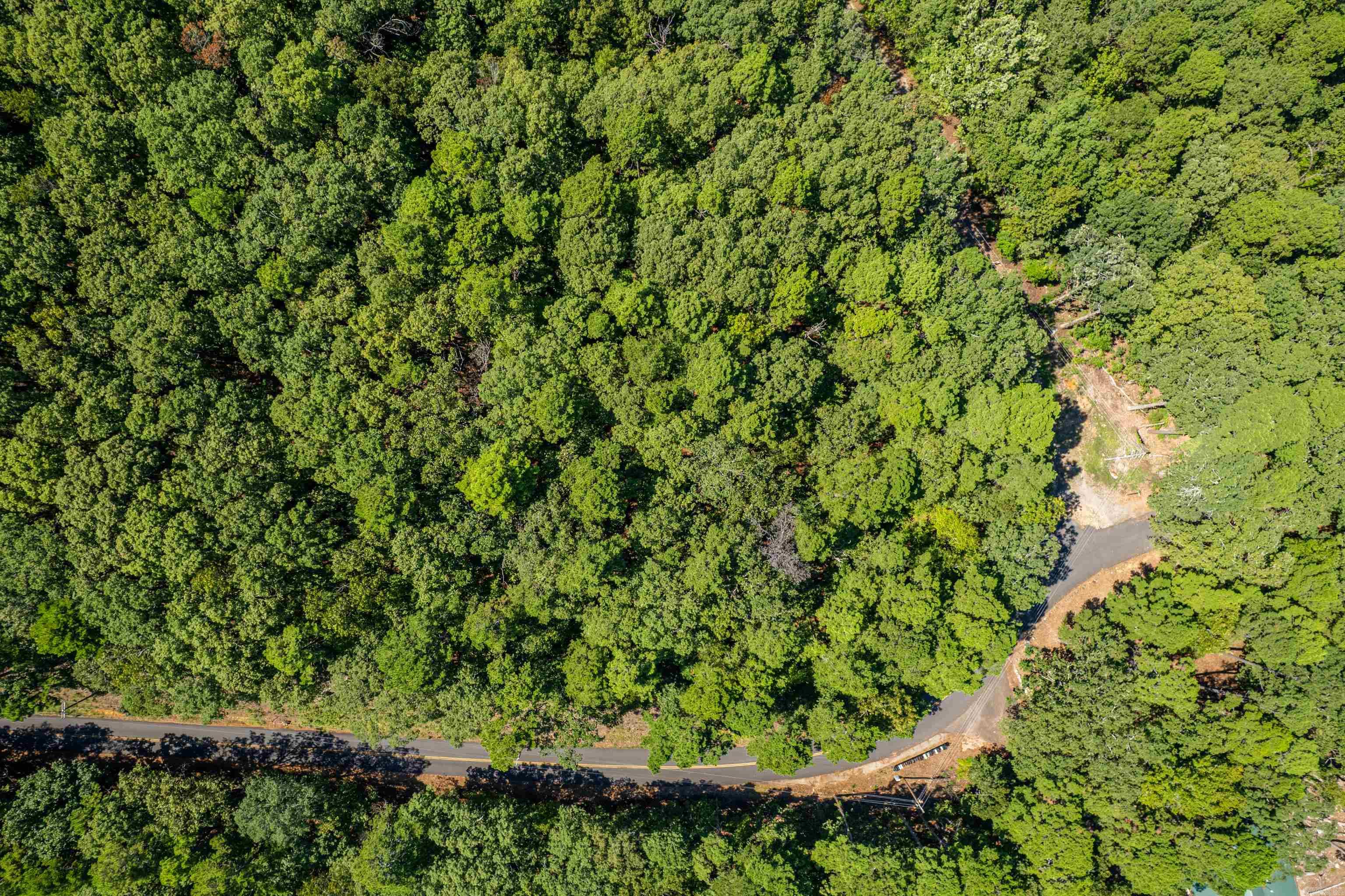 0 Lake Ouachita  Mountain Pine, AR