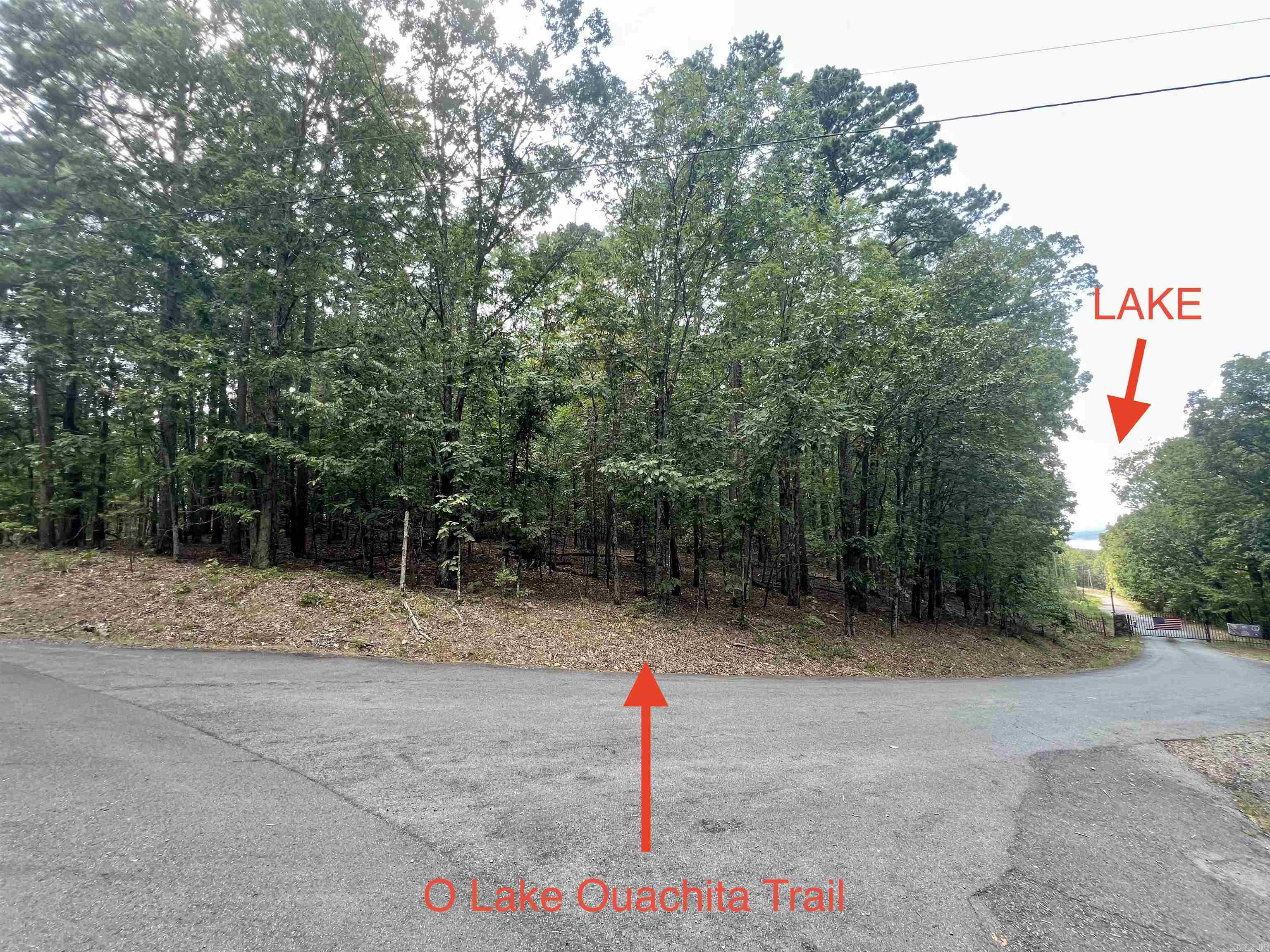 0 Lake Ouachita  Mountain Pine, AR