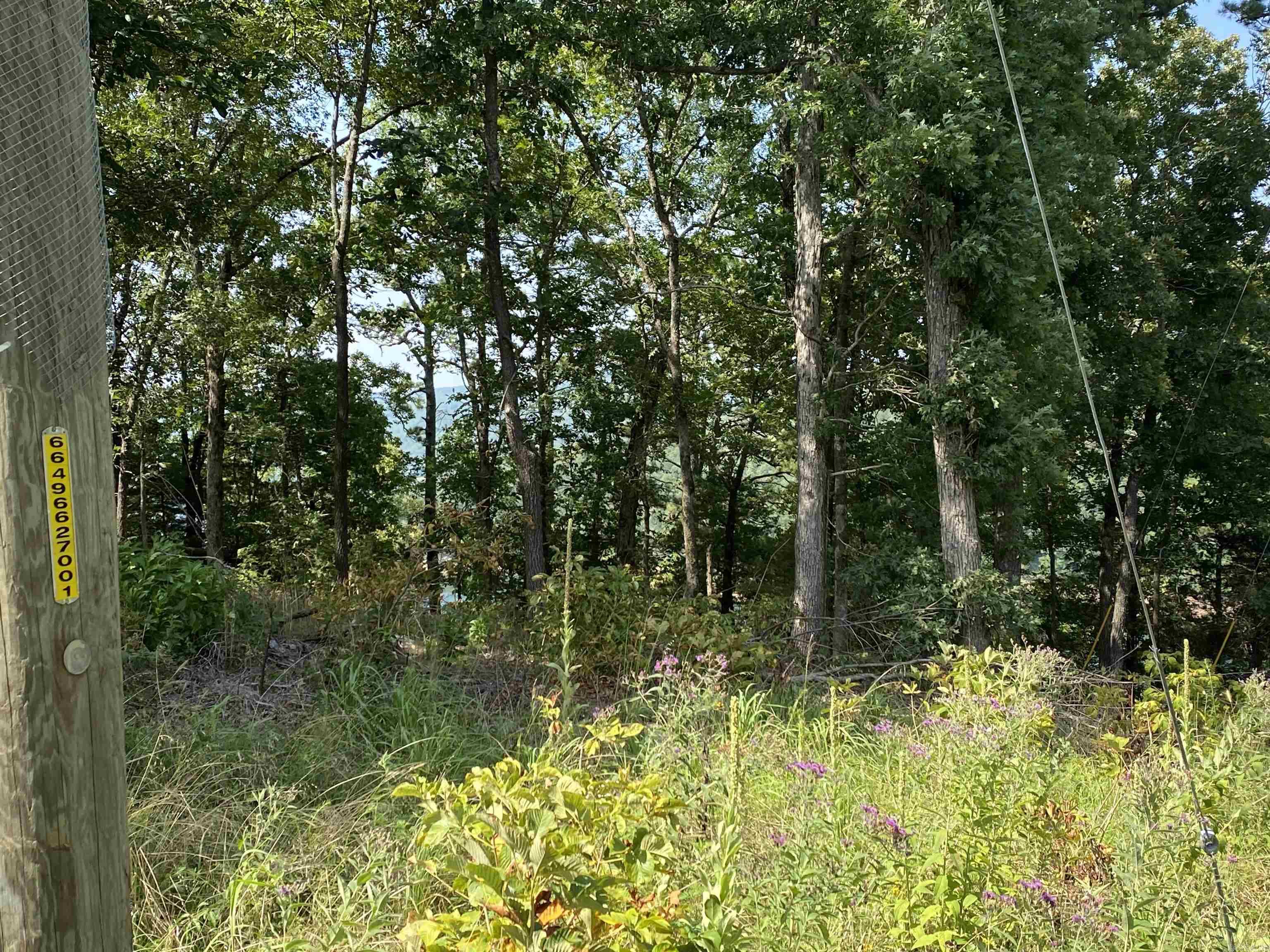 Lot 6 & 7 Bluff Dr.  Edgemont, AR