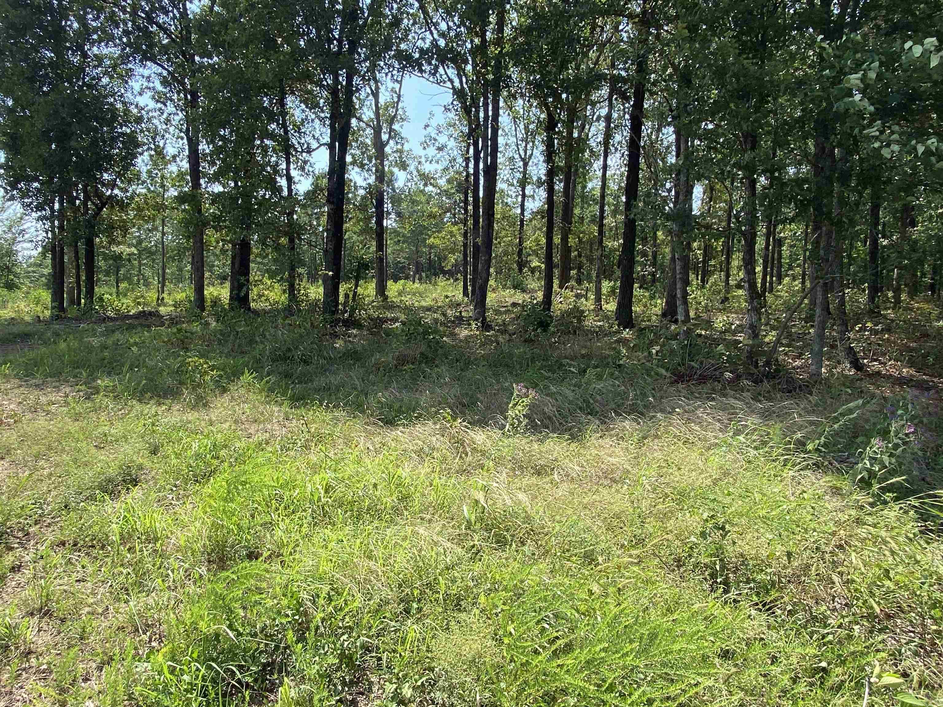 Lot 6 & 7 Bluff Dr.  Edgemont, AR
