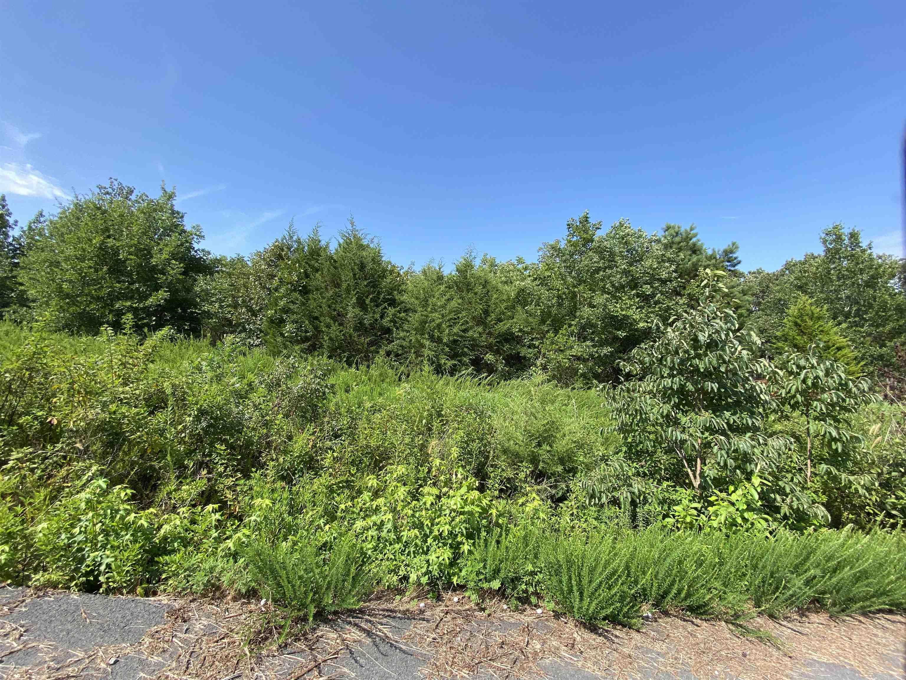 Lot 6 & 7 Bluff Dr.  Edgemont, AR