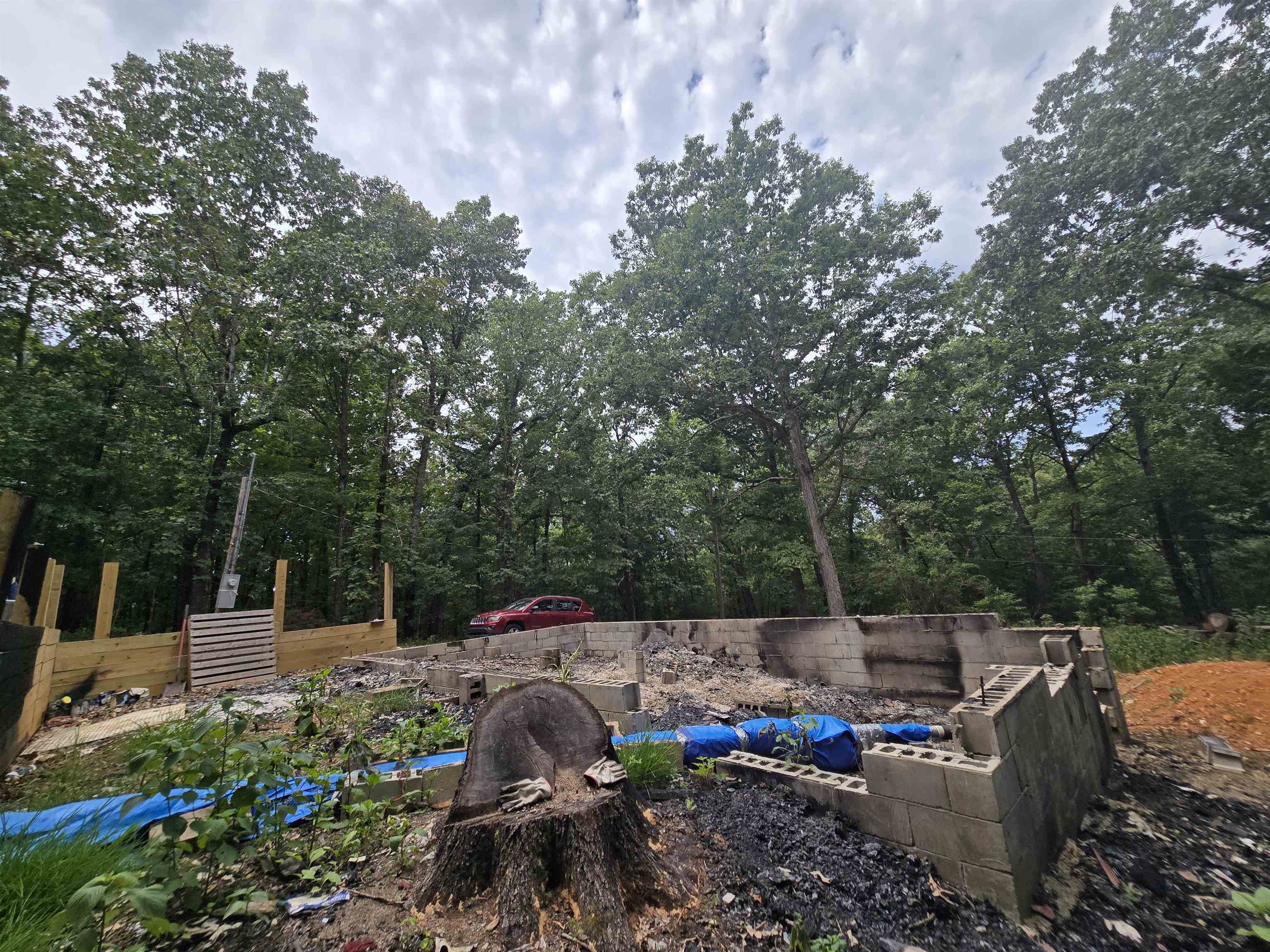 19 Willie May Drive Highland, AR 72542