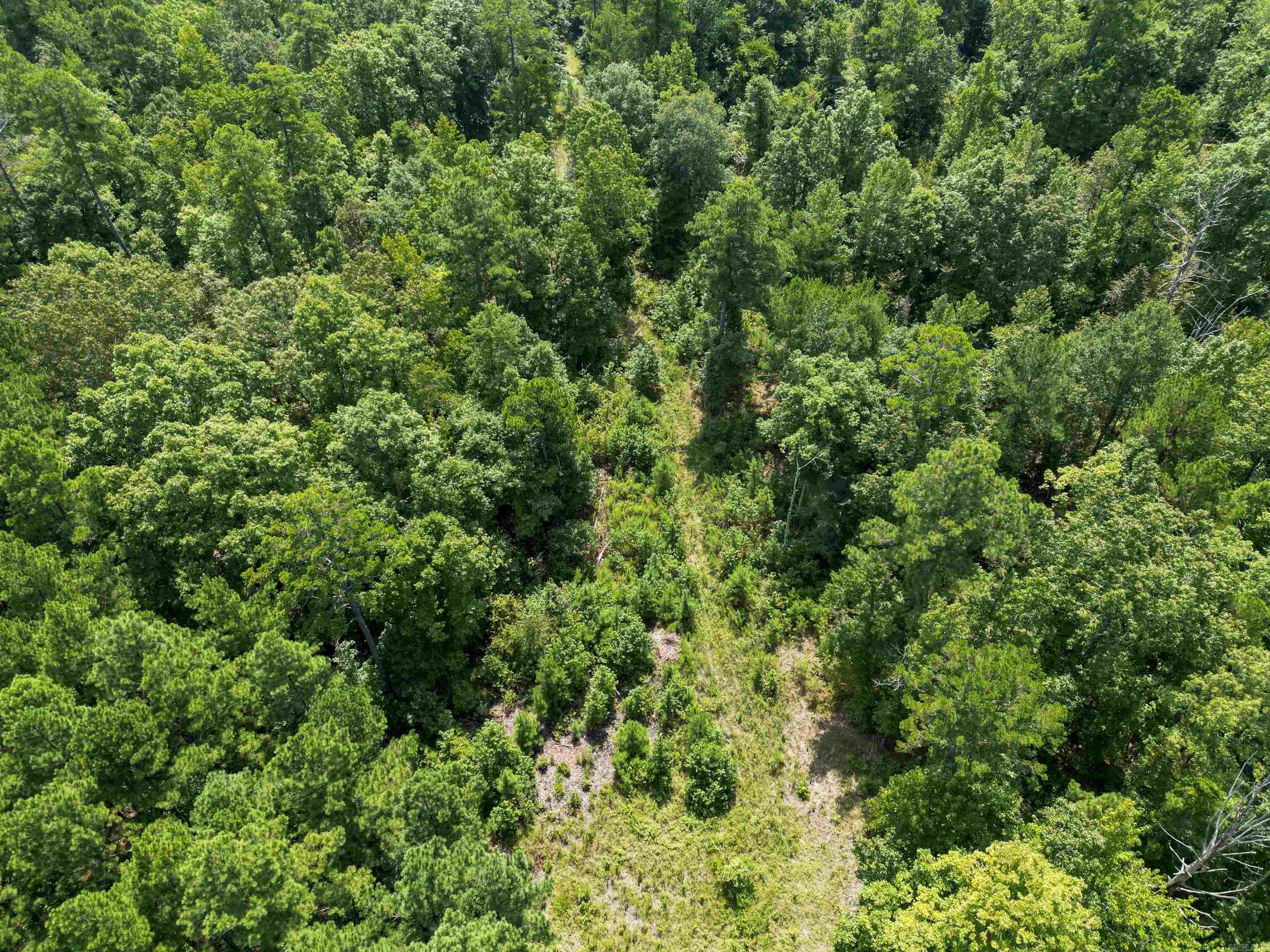 TBD 9808 Forestry Rd  Sheridan, AR