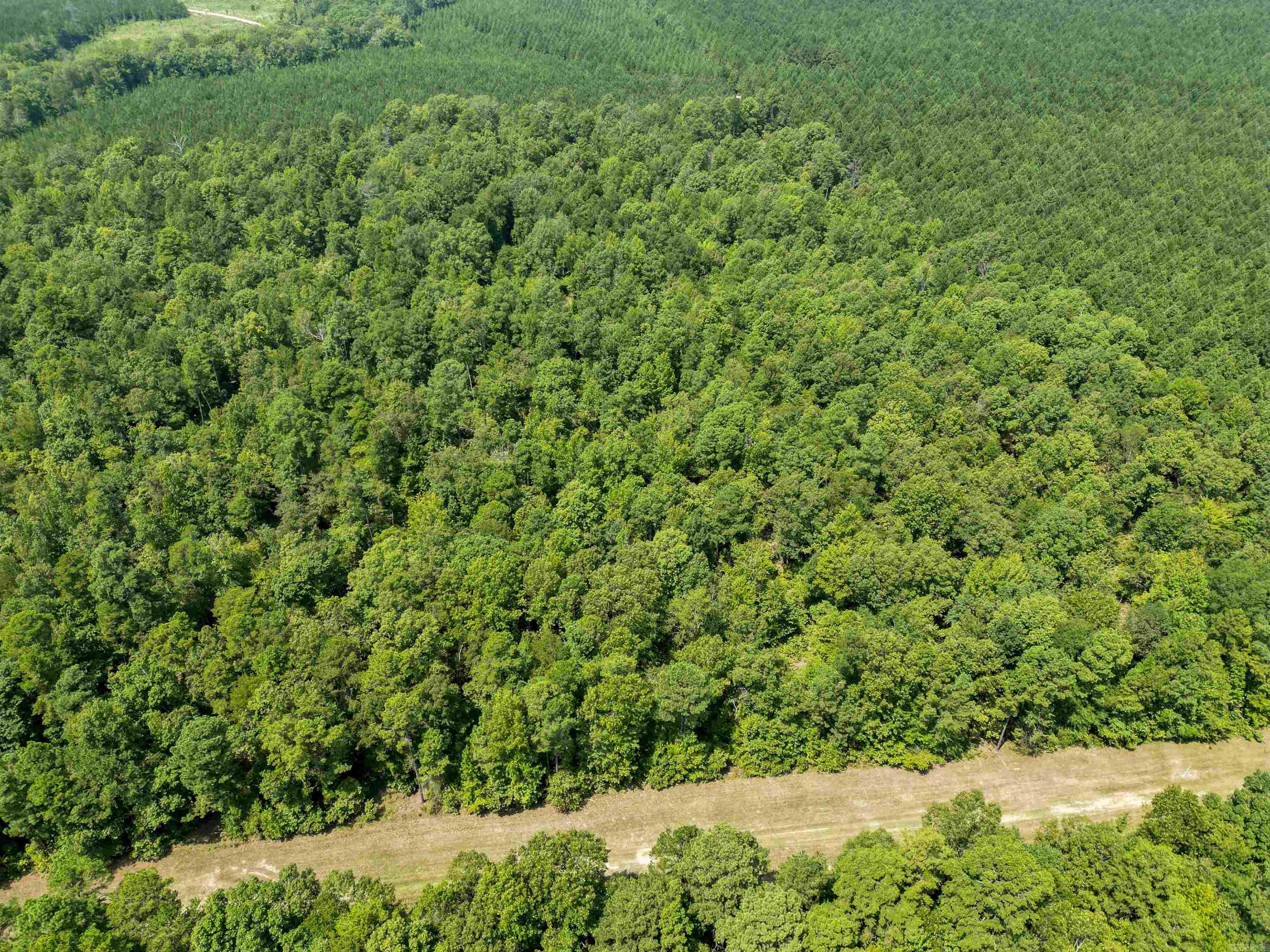 TBD 9808 Forestry Rd  Sheridan, AR