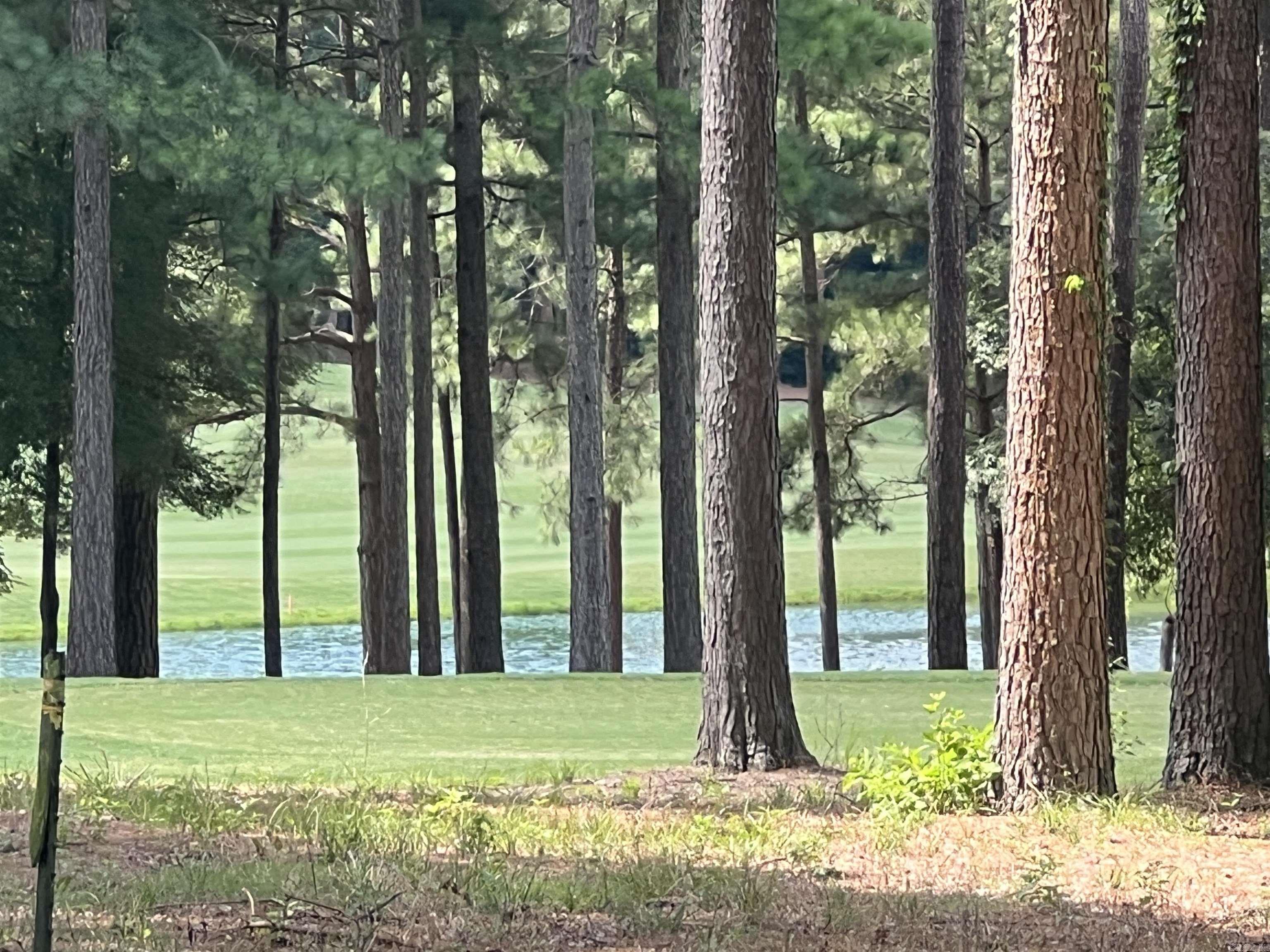 732 Mystic Creek Dr El Dorado, AR 71730