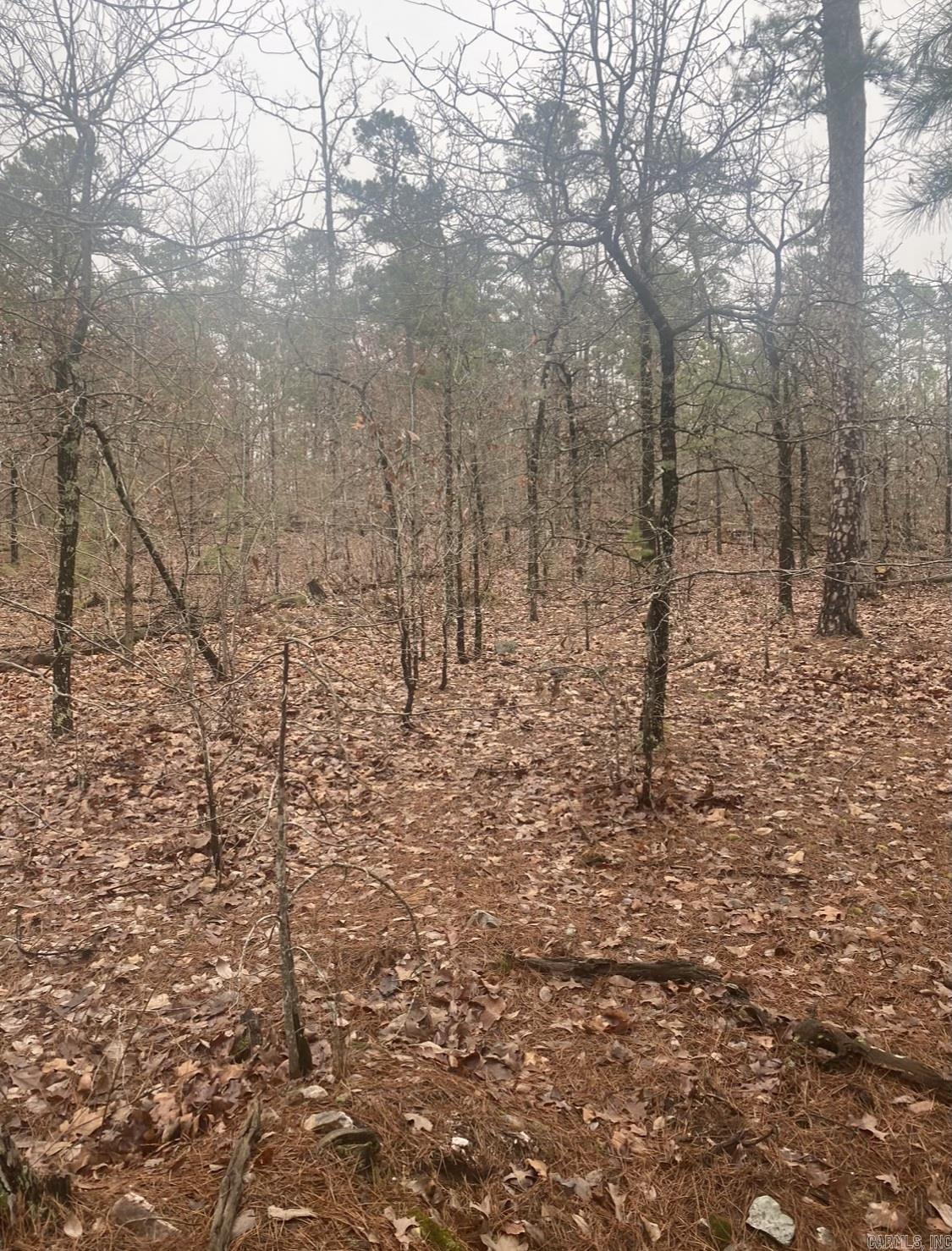 53 Jubileo Way  Hot Springs Village, AR