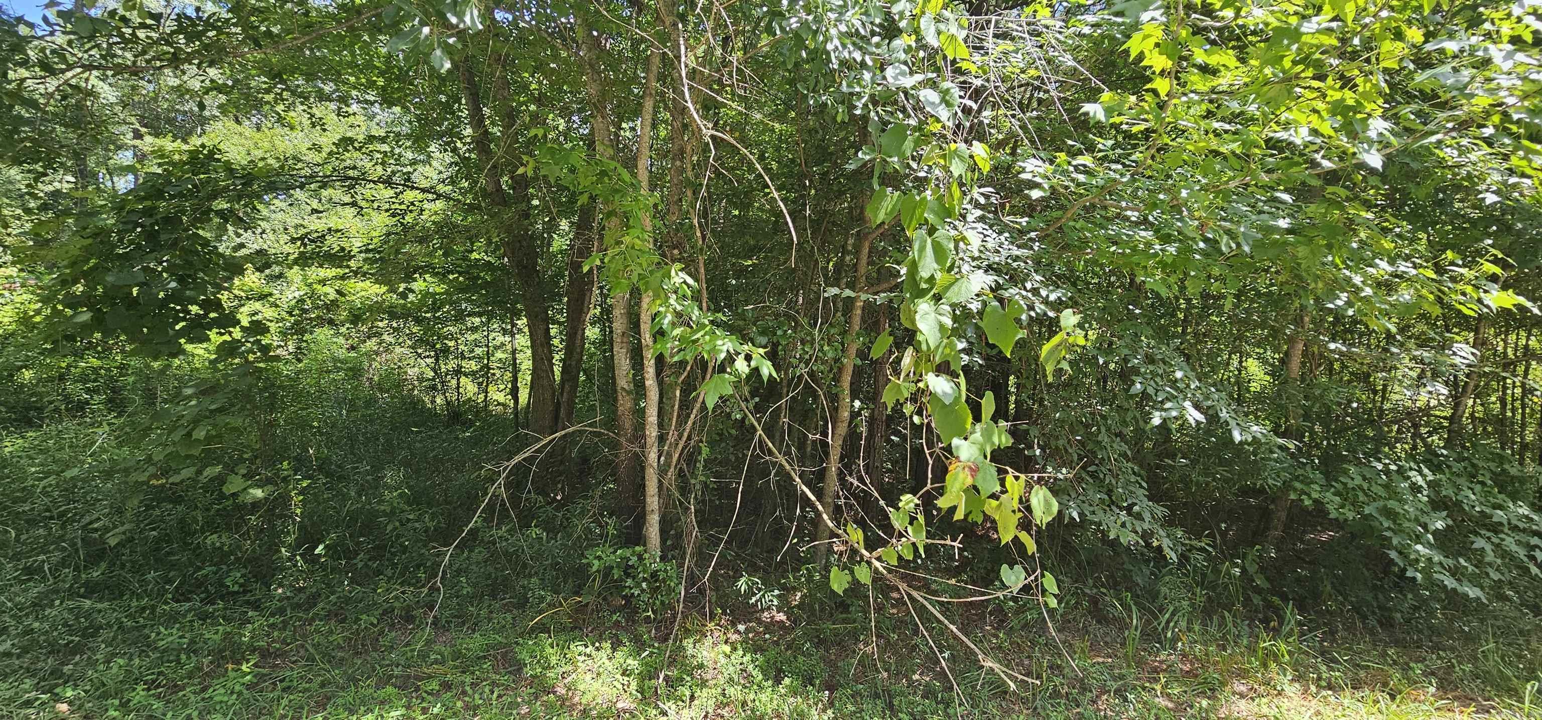 Lot 5&6/Blk 3 Williams  Royal, AR