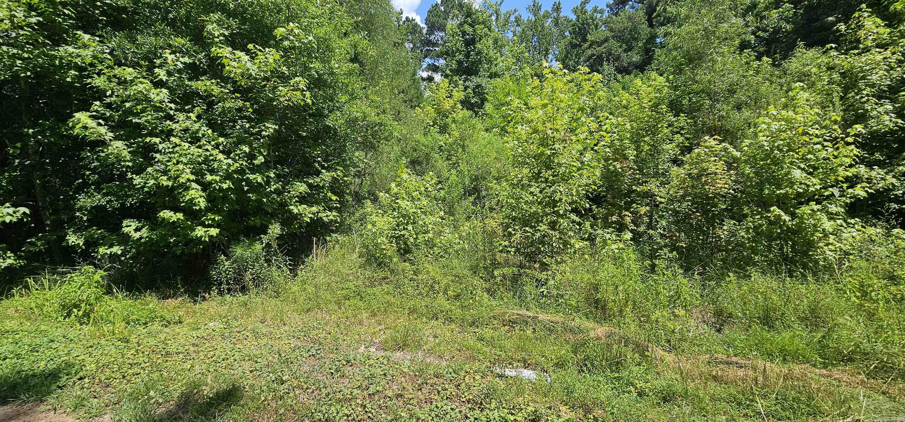 Lot 5&6/Blk 3 Williams  Royal, AR