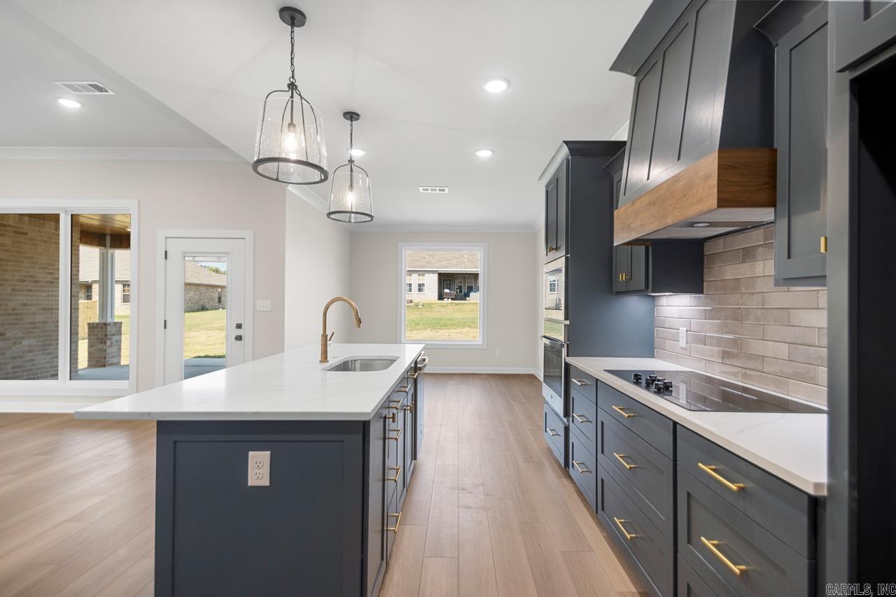 141 Allie Jo Lane Sheridan, AR 72150