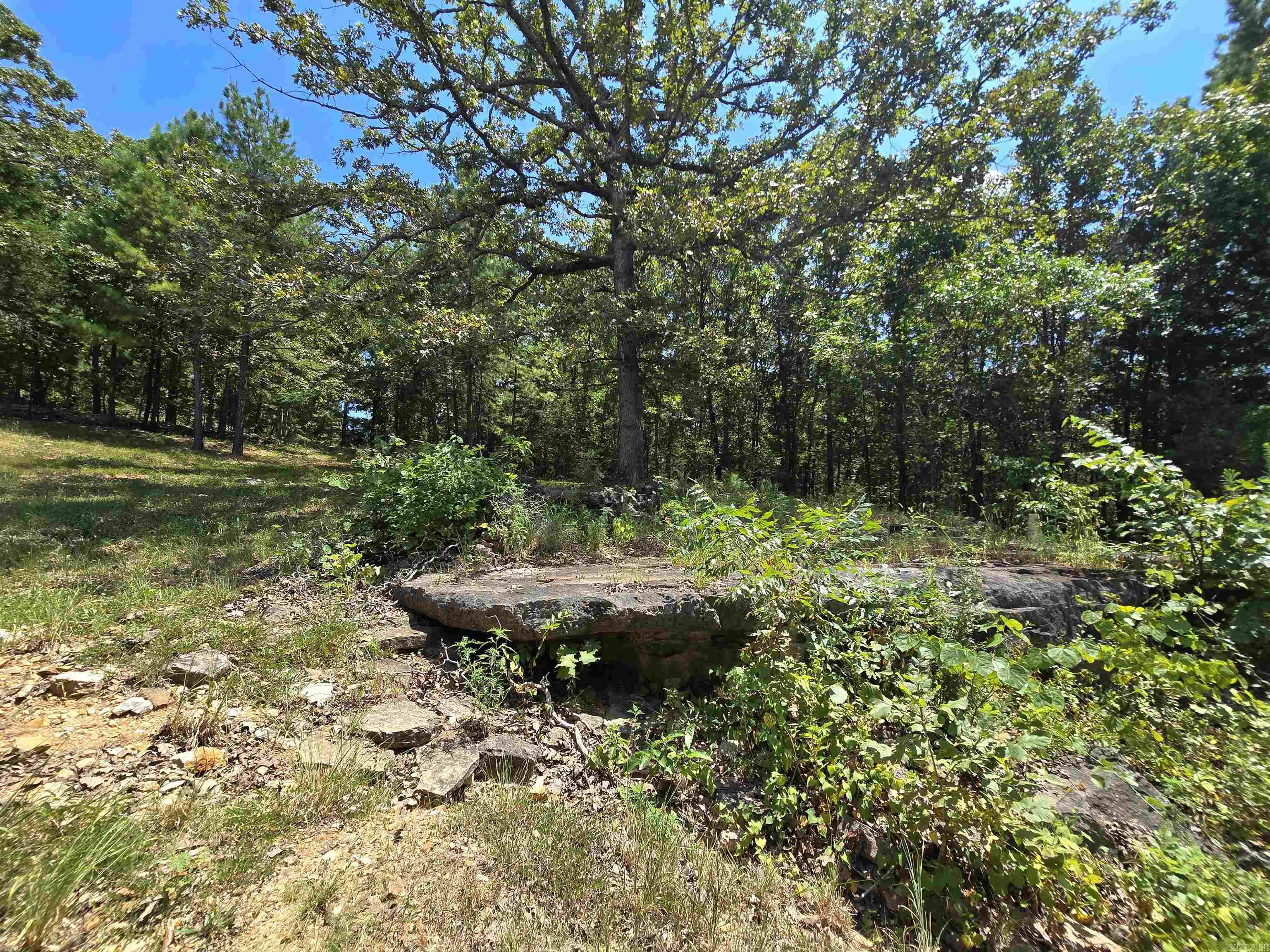 485 & 497 CR 176  Mountain Home, AR