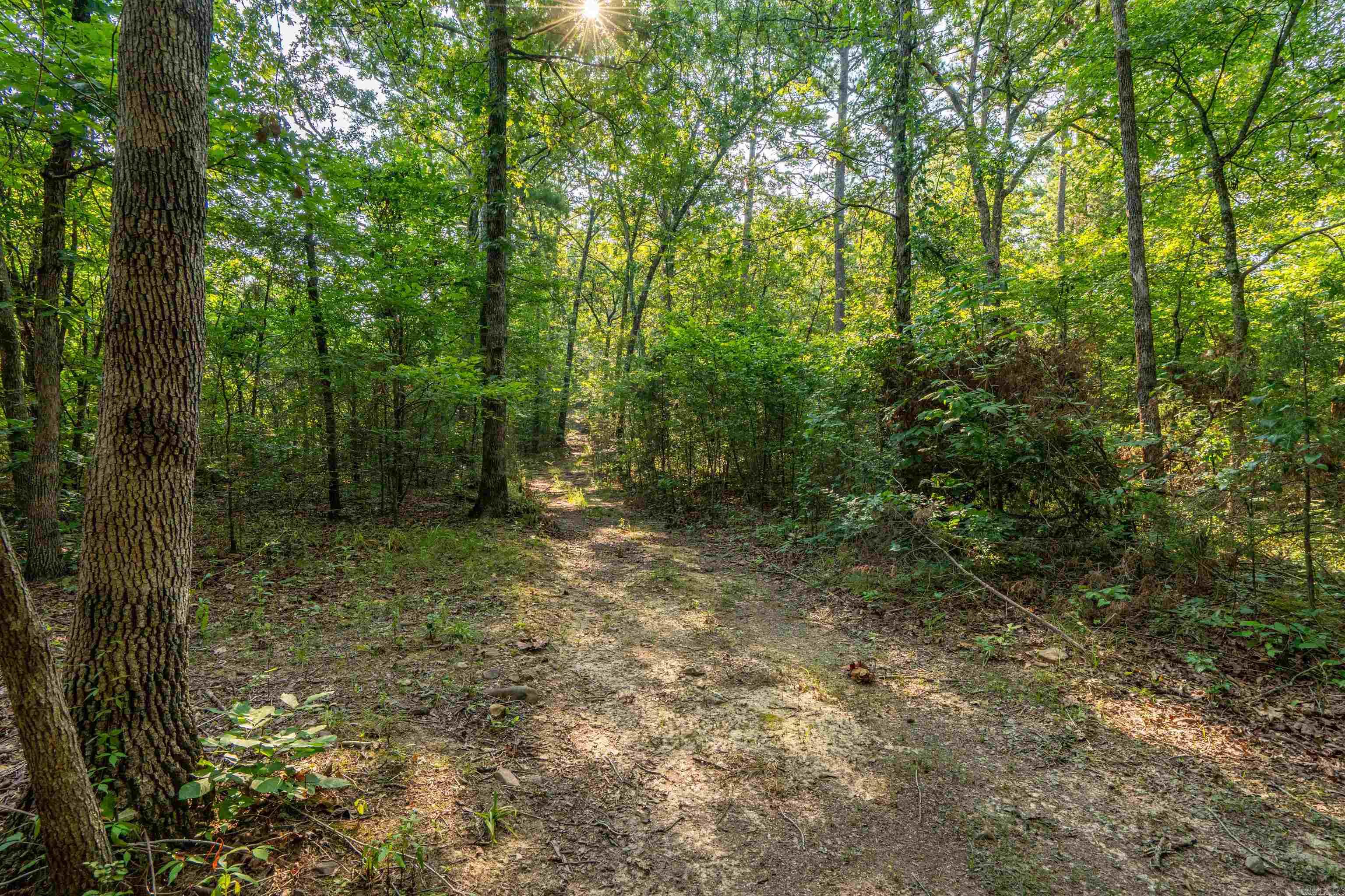 65 Raven Lane Oden, AR 71961
