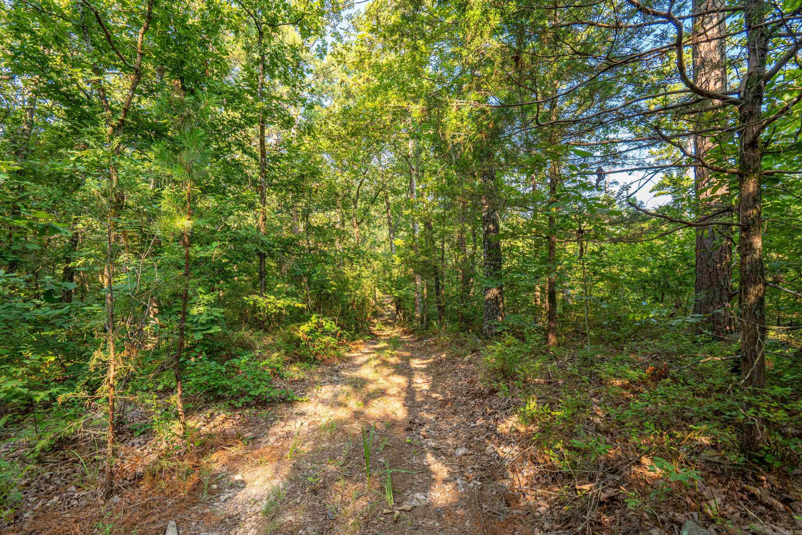 65 Raven Lane Oden, AR 71961