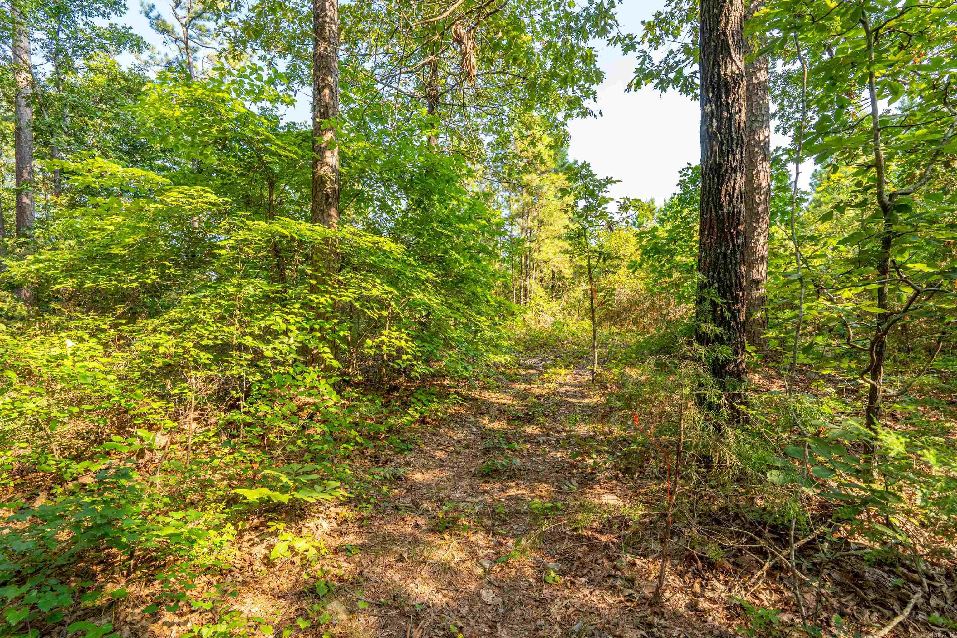 65 Raven Lane Oden, AR 71961