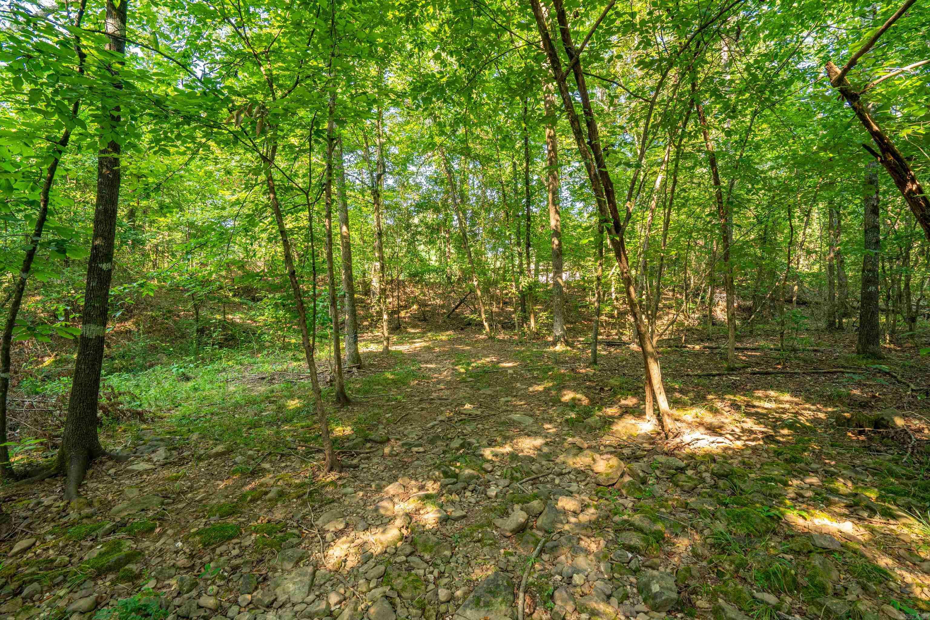65 Raven Lane Oden, AR 71961