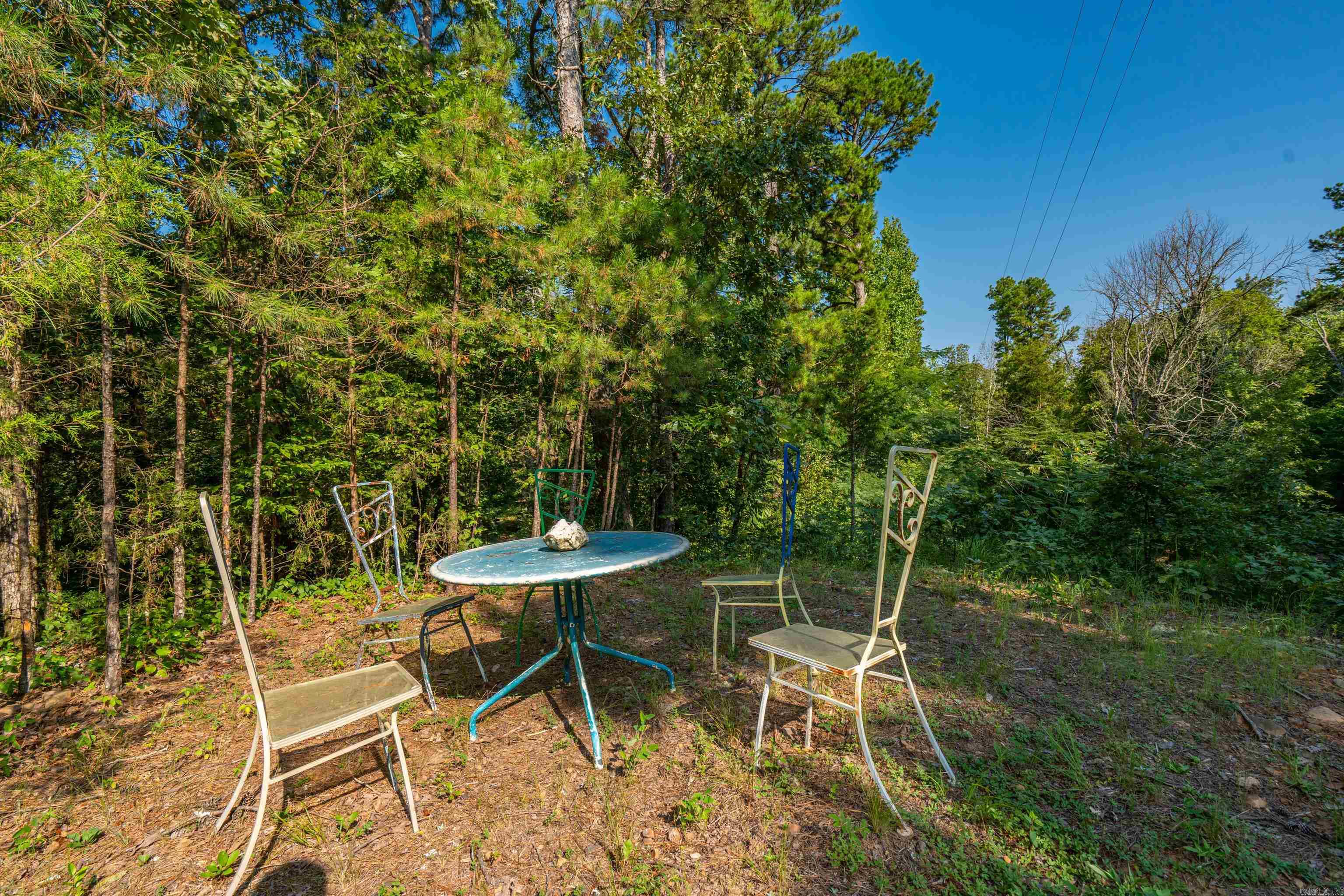 65 Raven Lane Oden, AR 71961