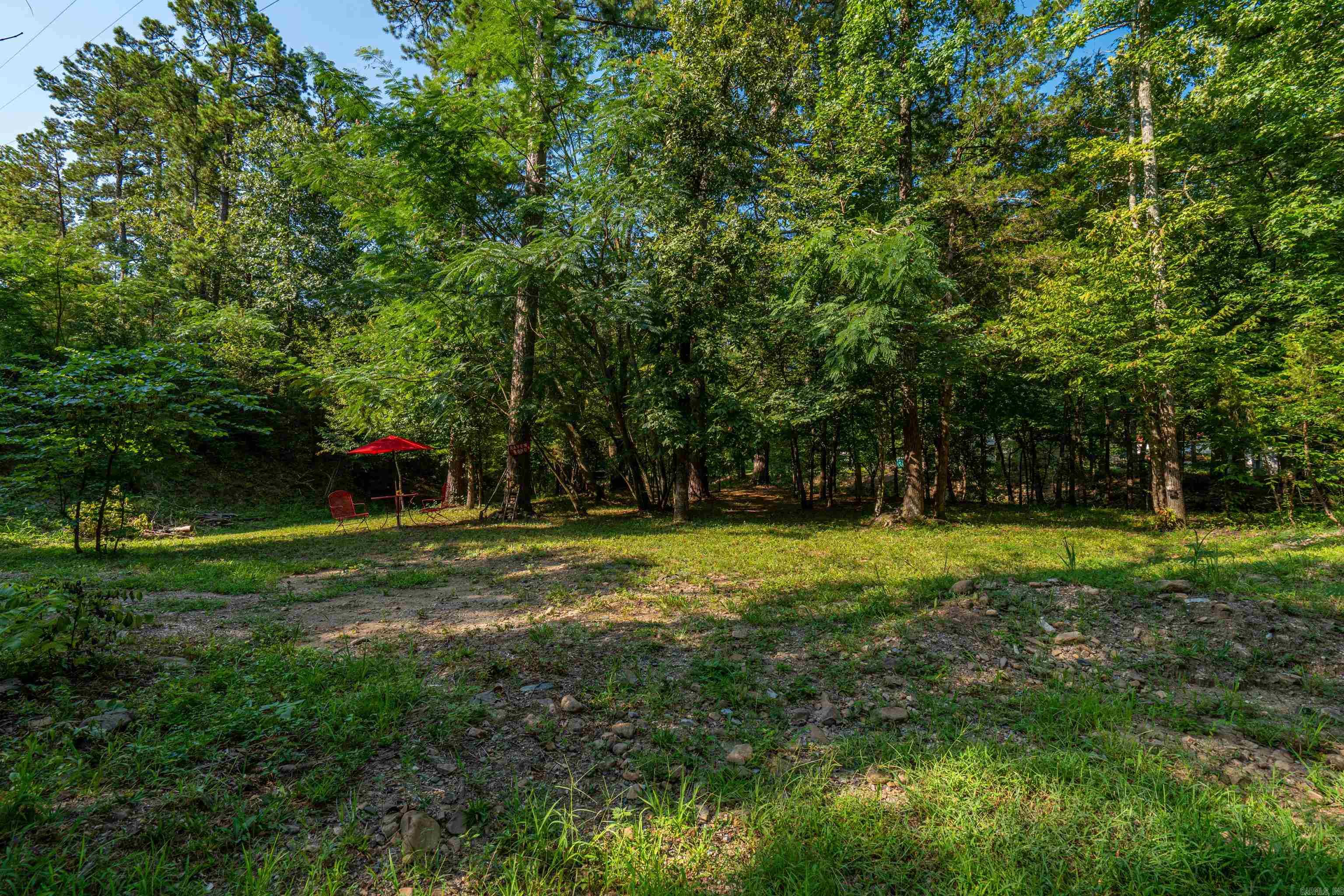 65 Raven Lane Oden, AR 71961