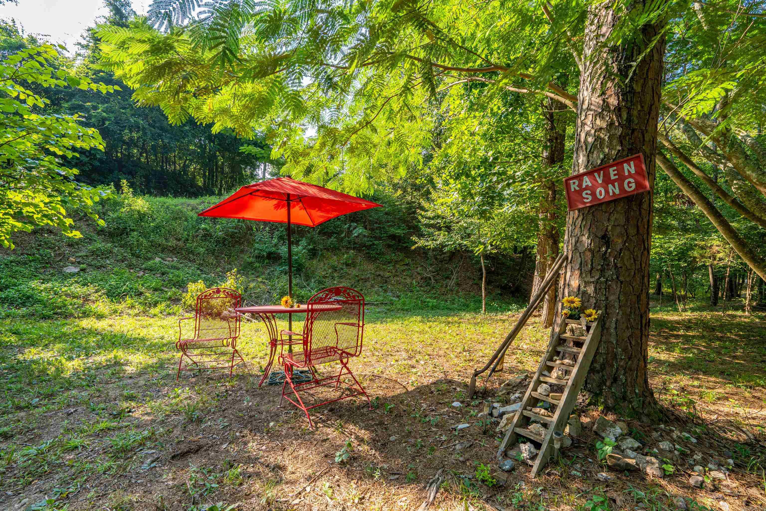 65 Raven Lane Oden, AR 71961
