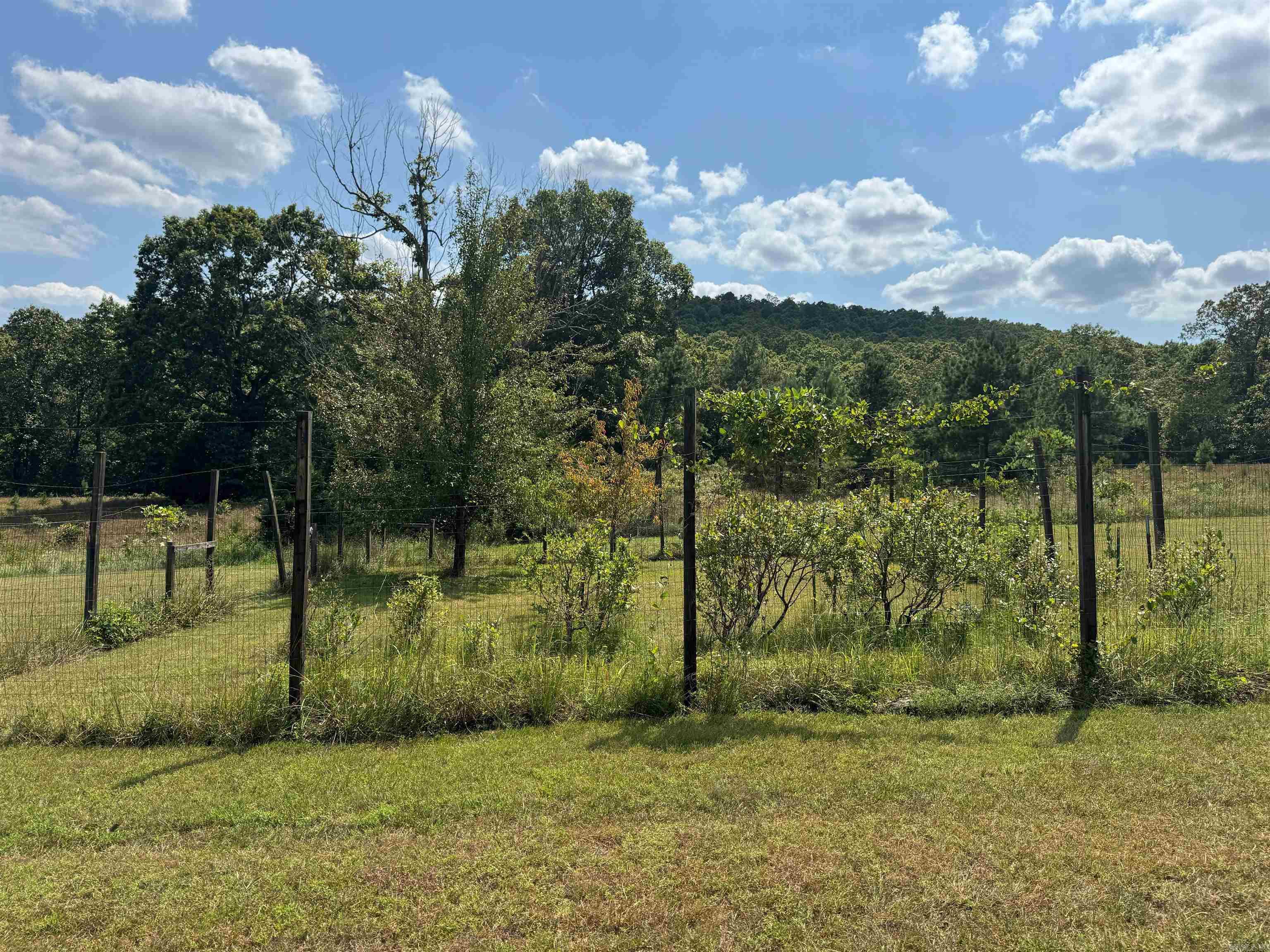 4003 Sunny Fox Rd  Mountain View, AR