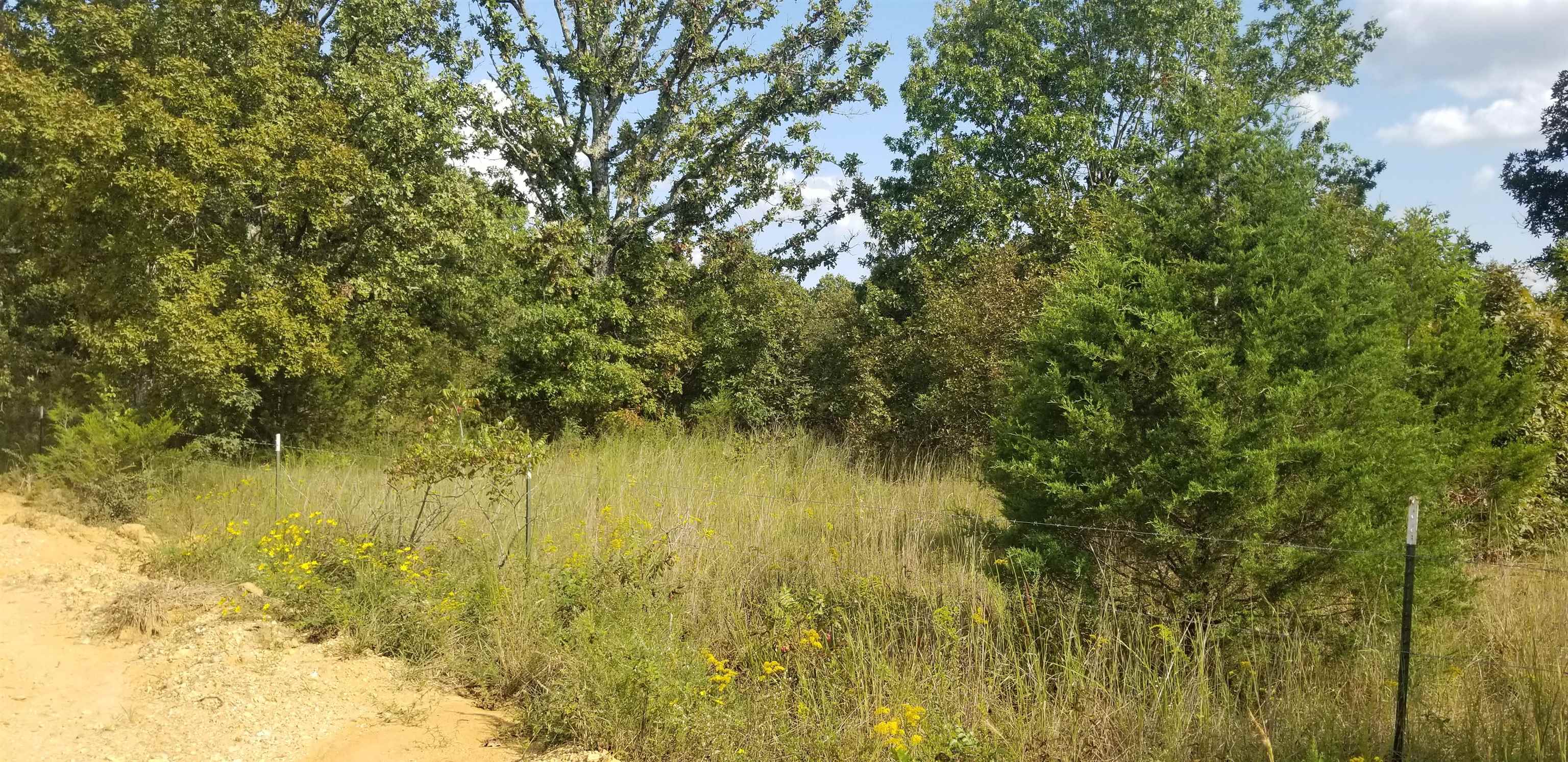 3445 Magnolia  Salem, AR