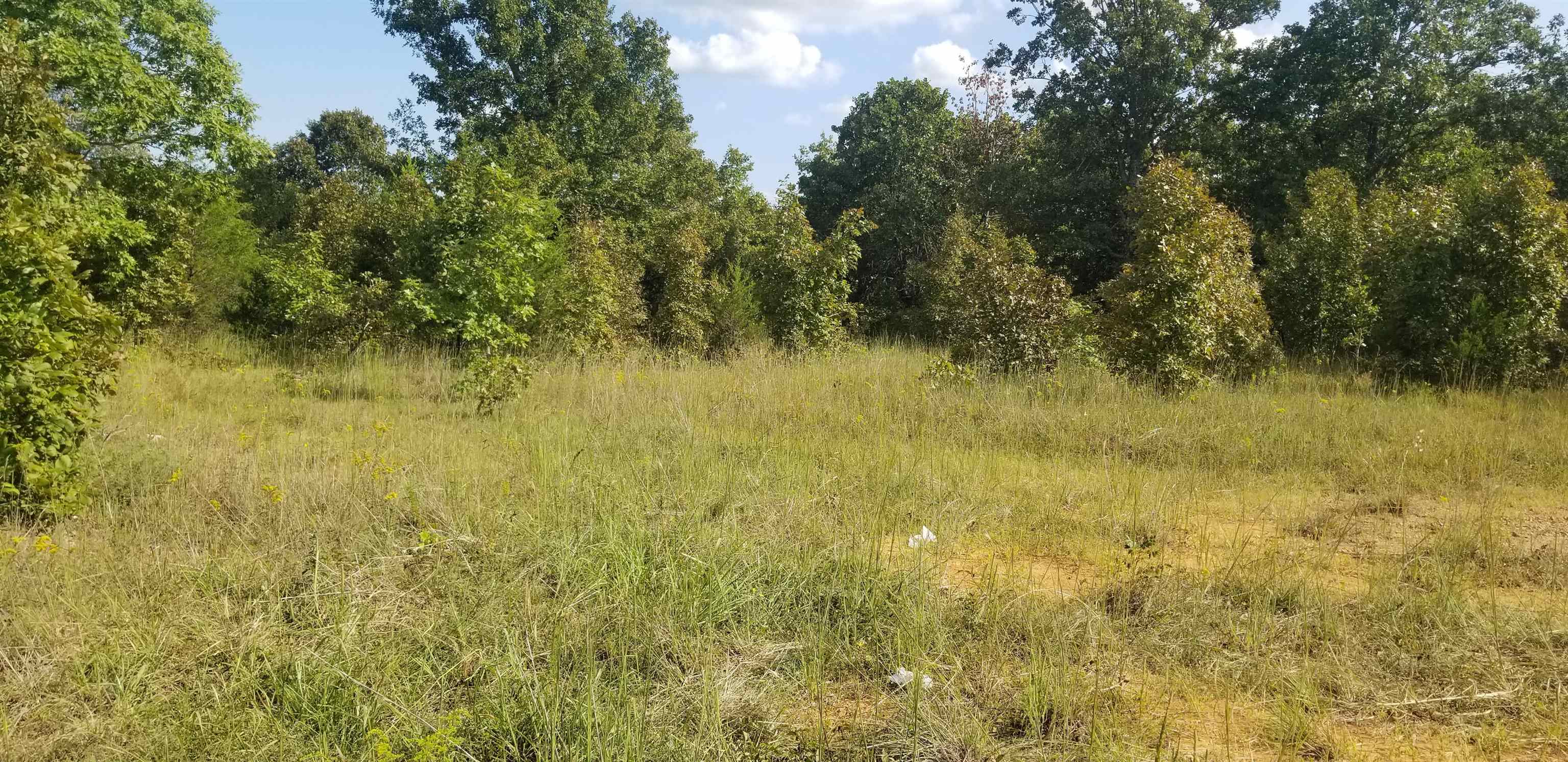 3445 Magnolia  Salem, AR