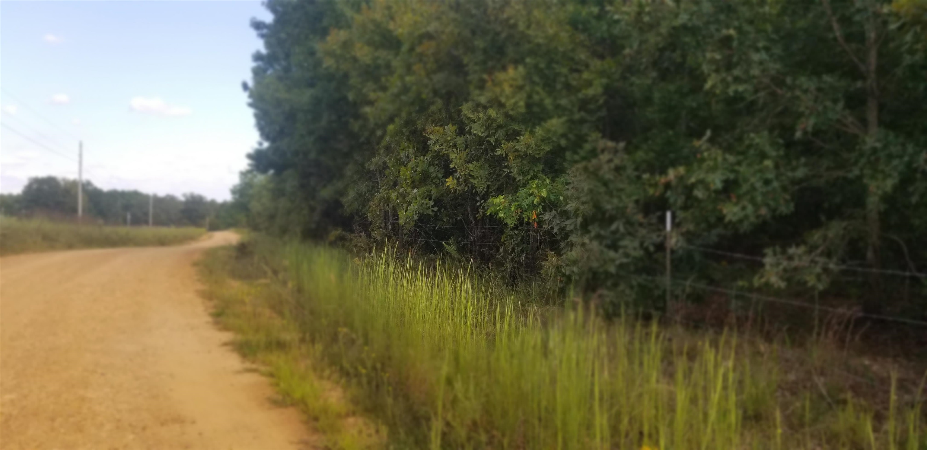 3445 Magnolia  Salem, AR