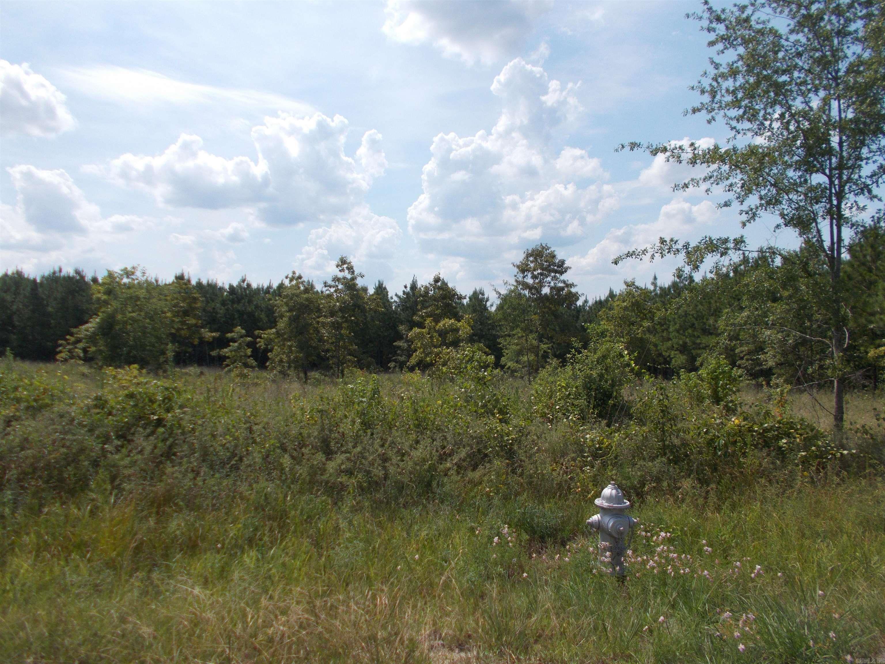 1705 Grant 53  Sheridan, AR