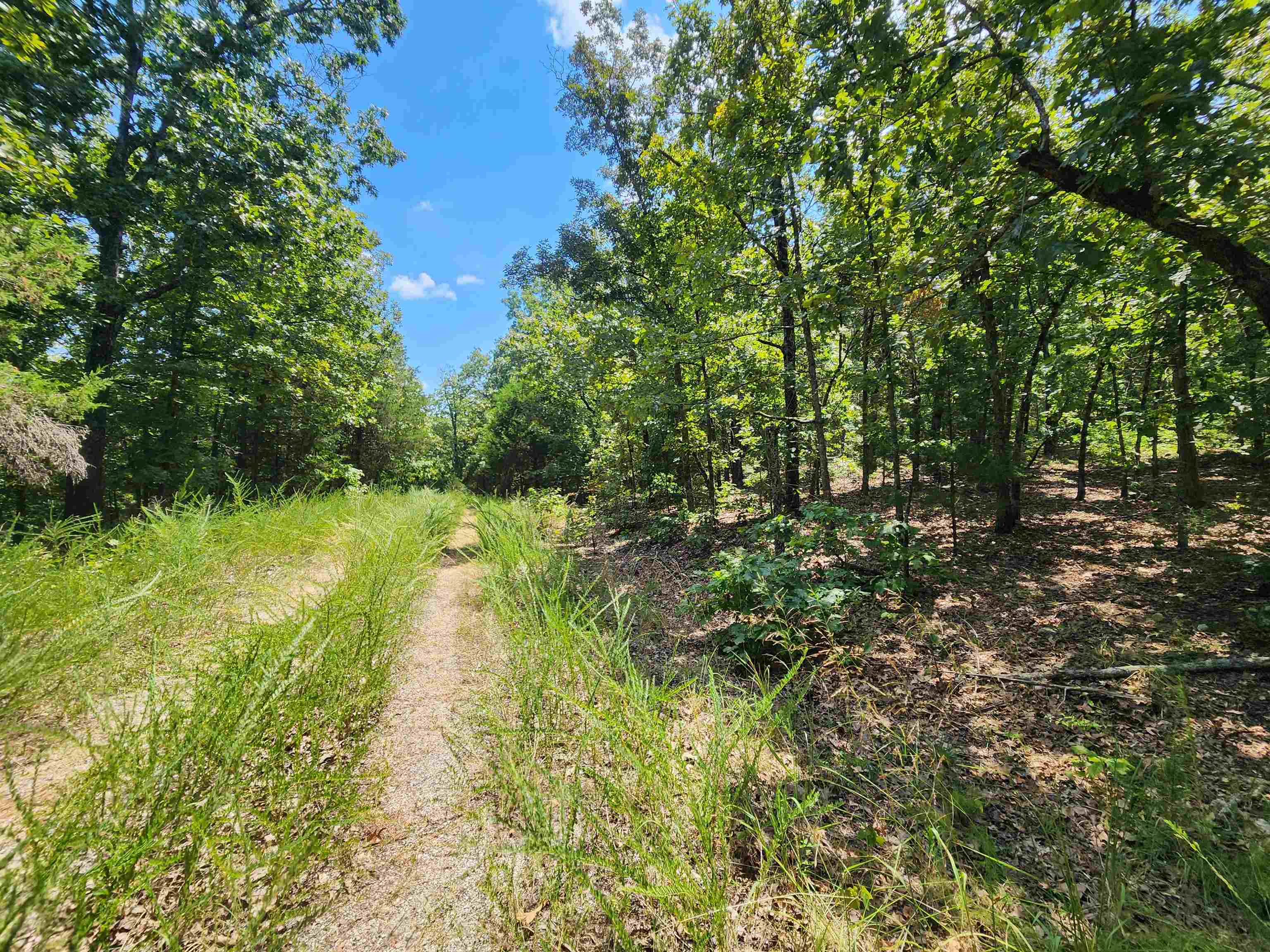 L-1,2,3, B-19 Nicatouse  Cherokee Village, AR