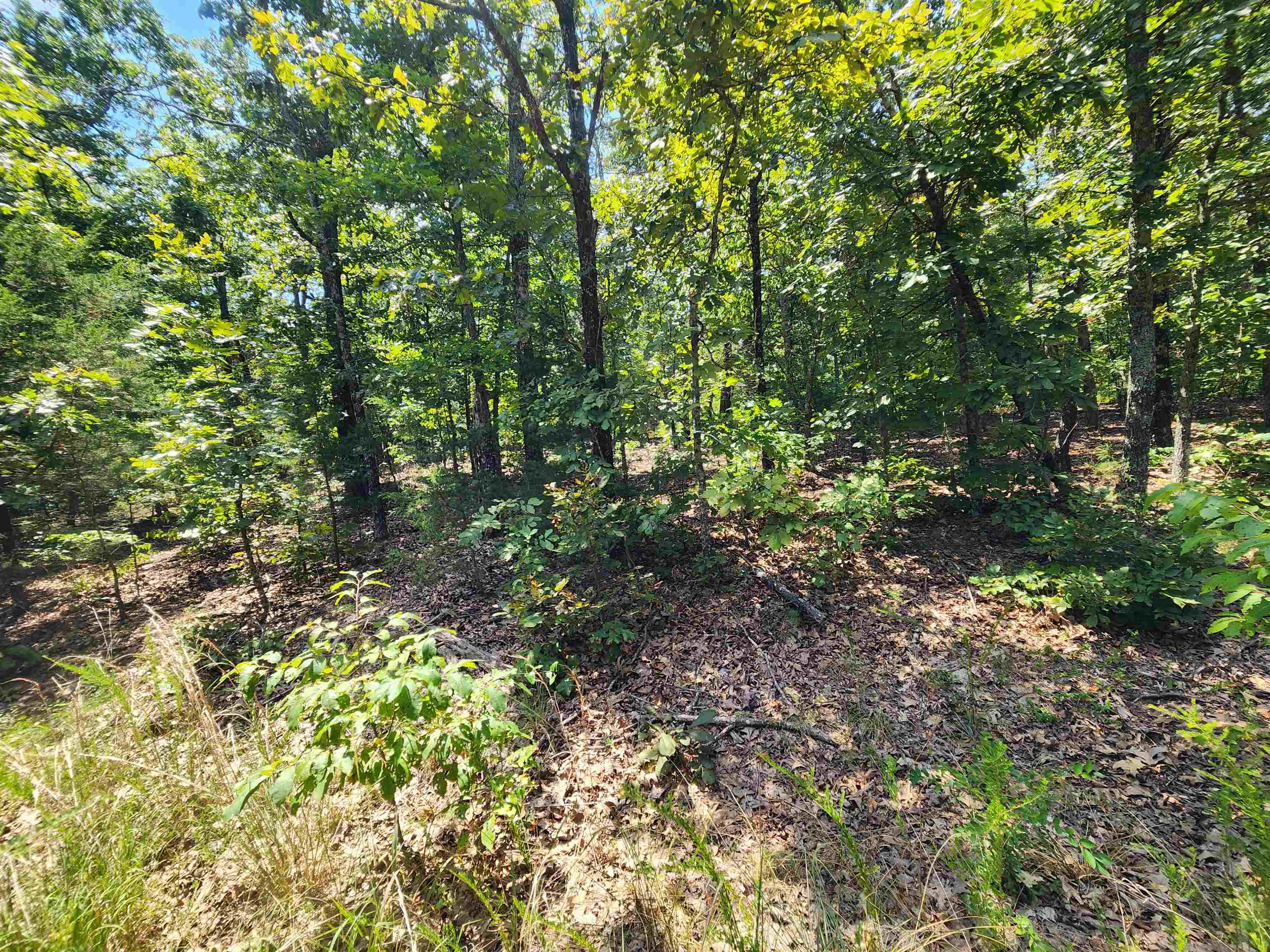 L-1,2,3, B-19 Nicatouse  Cherokee Village, AR