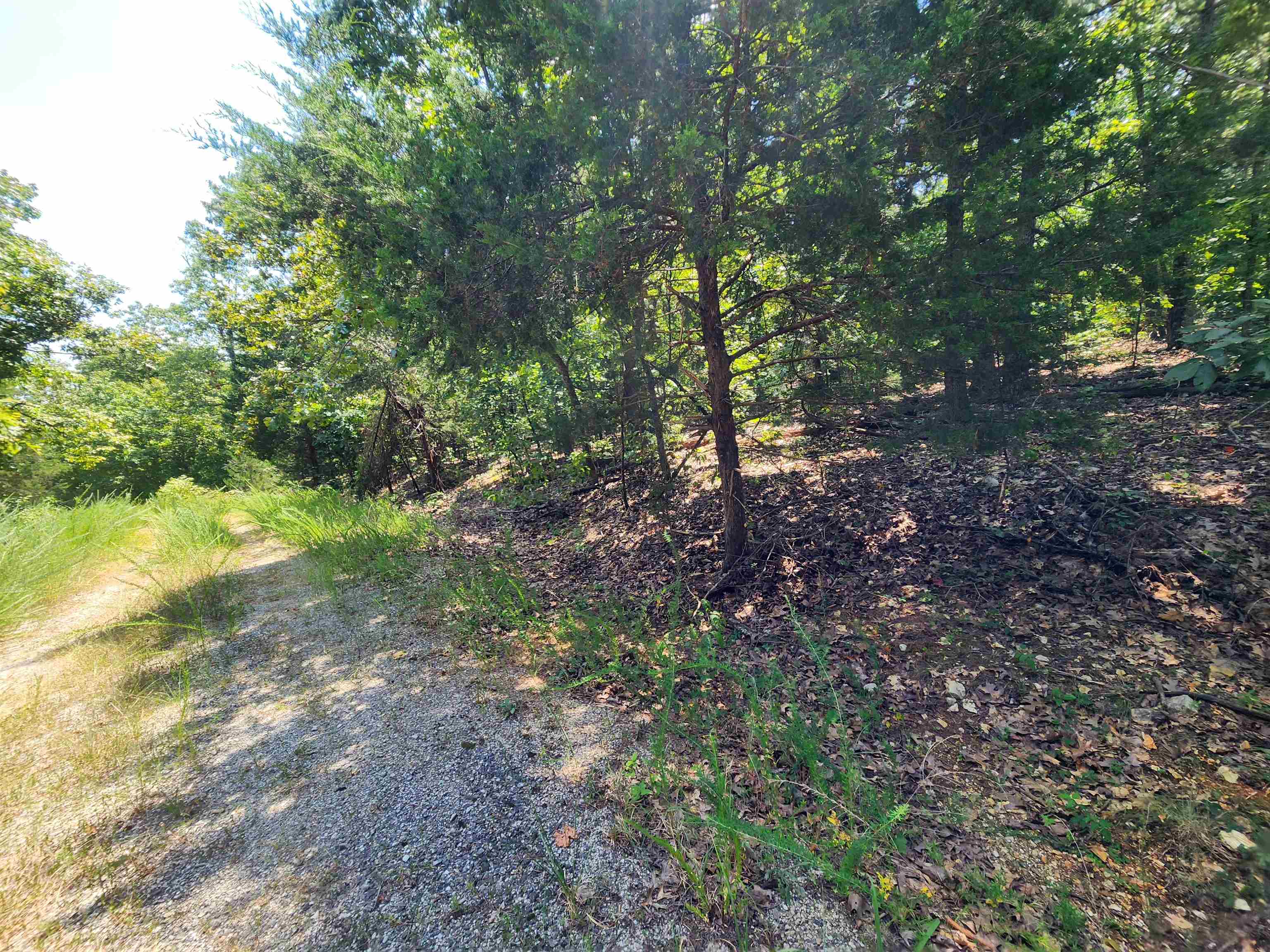 L-1,2,3, B-19 Nicatouse  Cherokee Village, AR