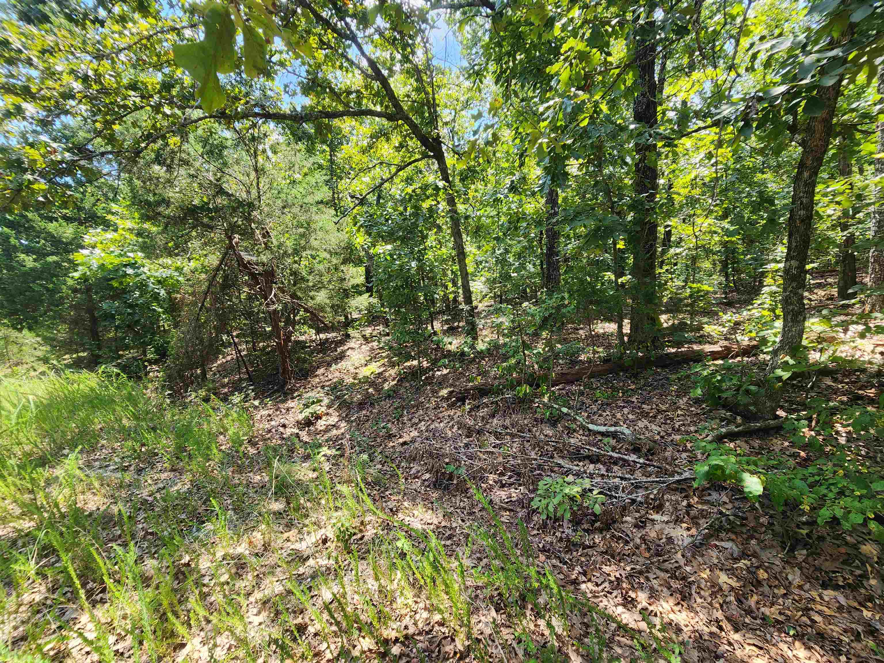 L-1,2,3, B-19 Nicatouse  Cherokee Village, AR