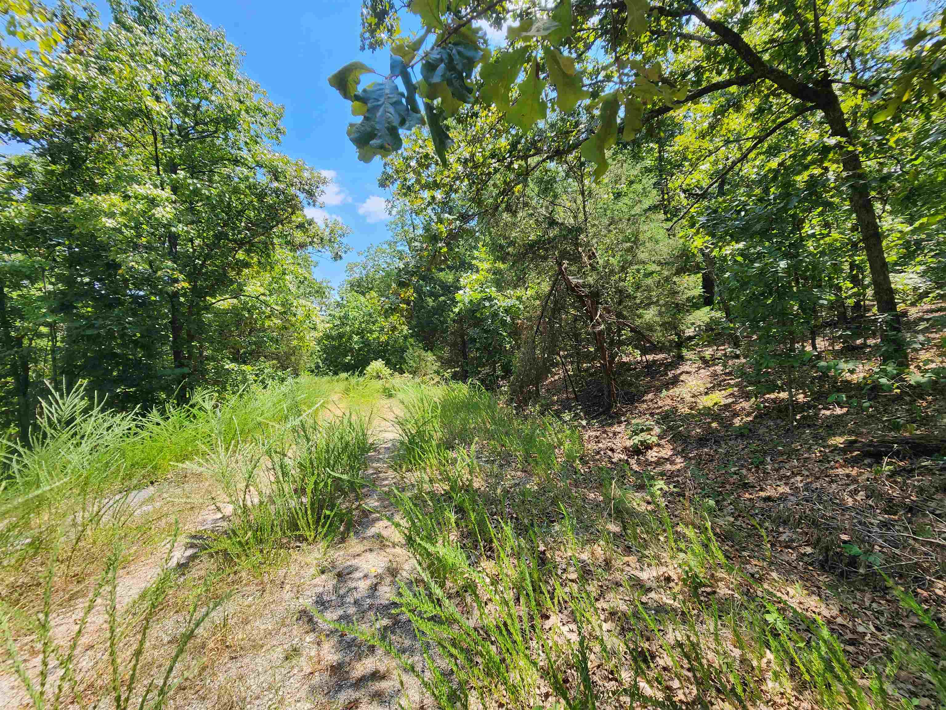 L-1,2,3, B-19 Nicatouse  Cherokee Village, AR